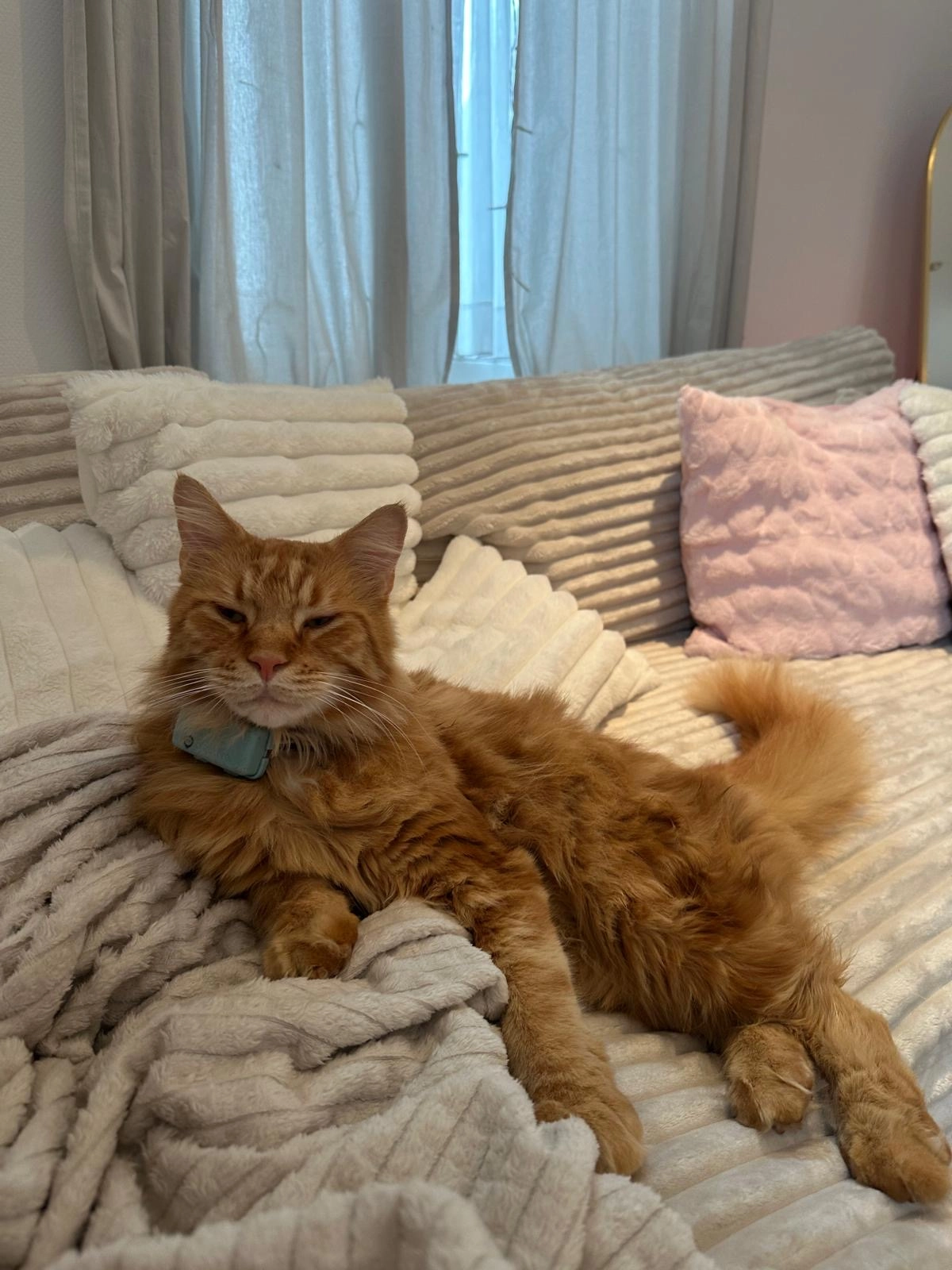 Simba - Kuyckheide, Issum