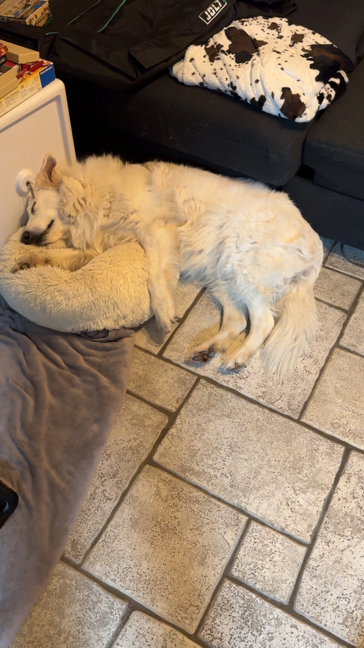 Laska - 547 Chemin du Mas de Massier, Vienne