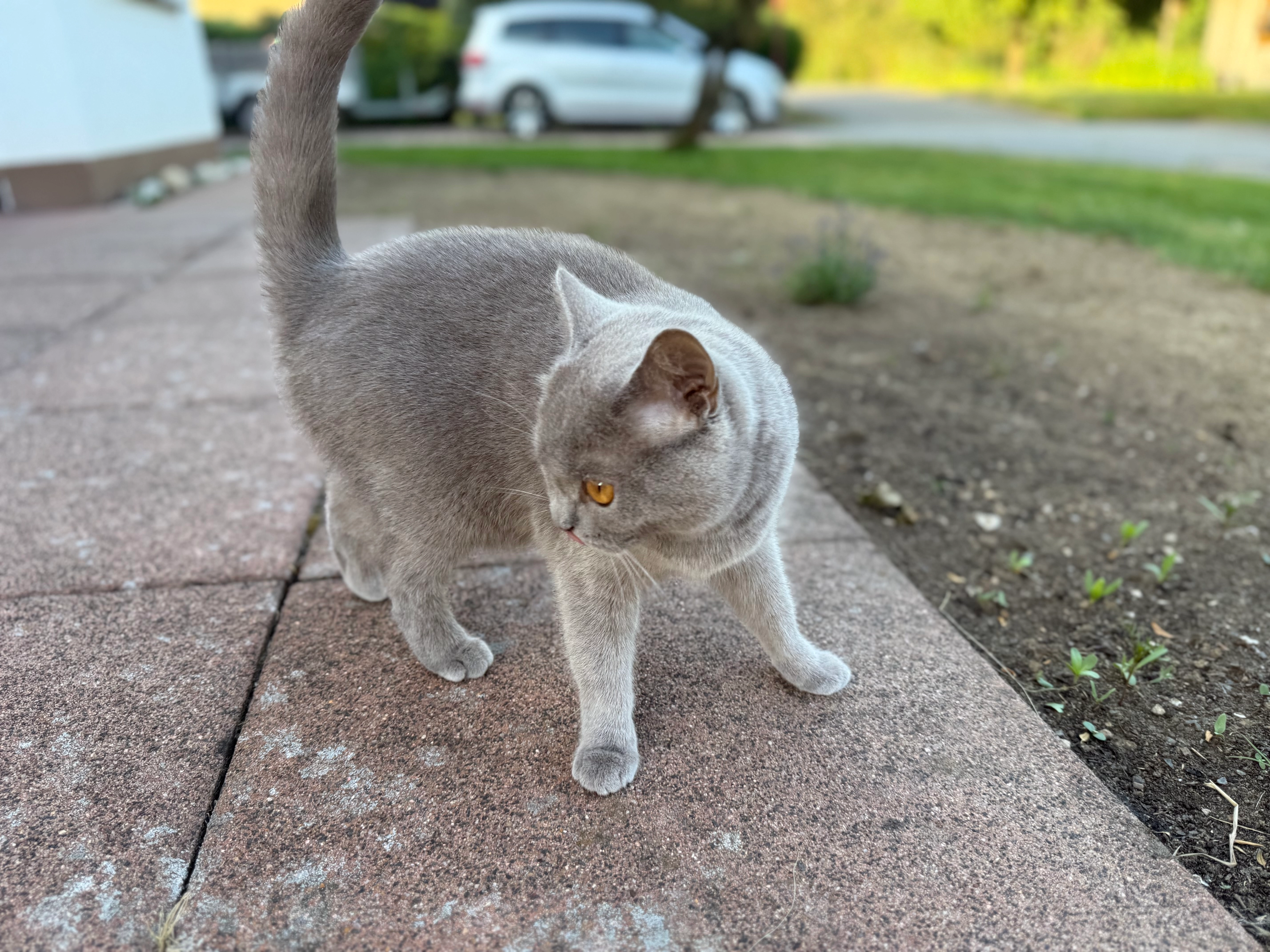 Marusja - Waigandshainer Straße, Rennerod