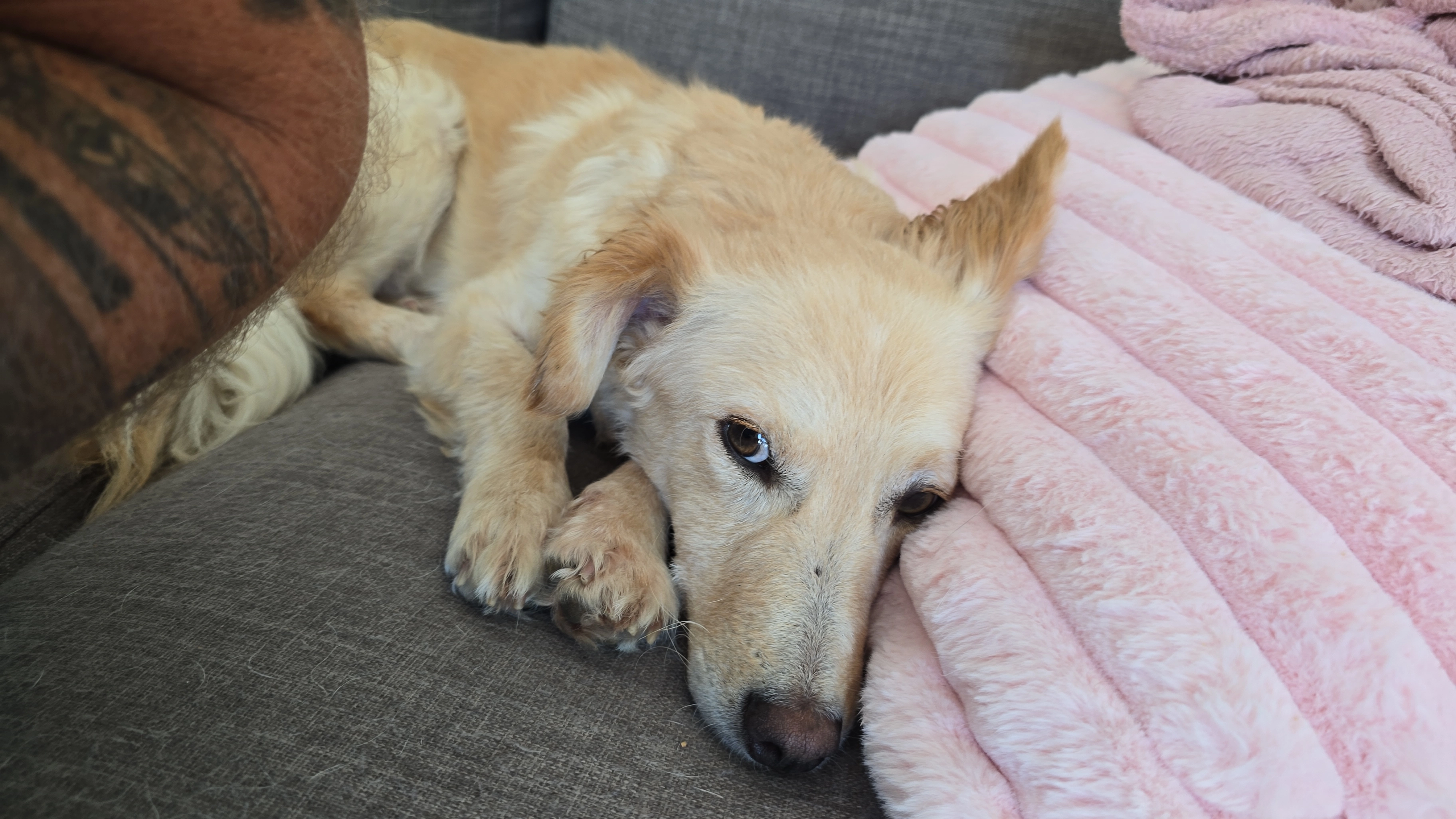 Mike   milo - Noorderbreek, Landsmeer