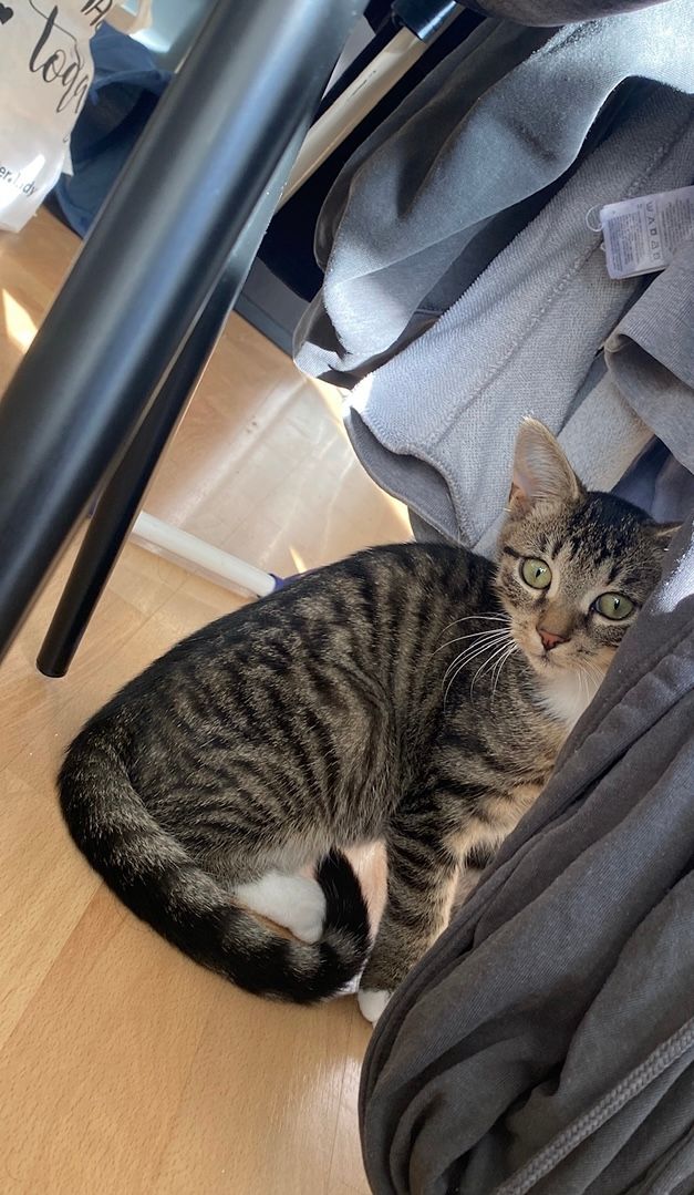 Charlie - Grillparzerstraße, Straubing