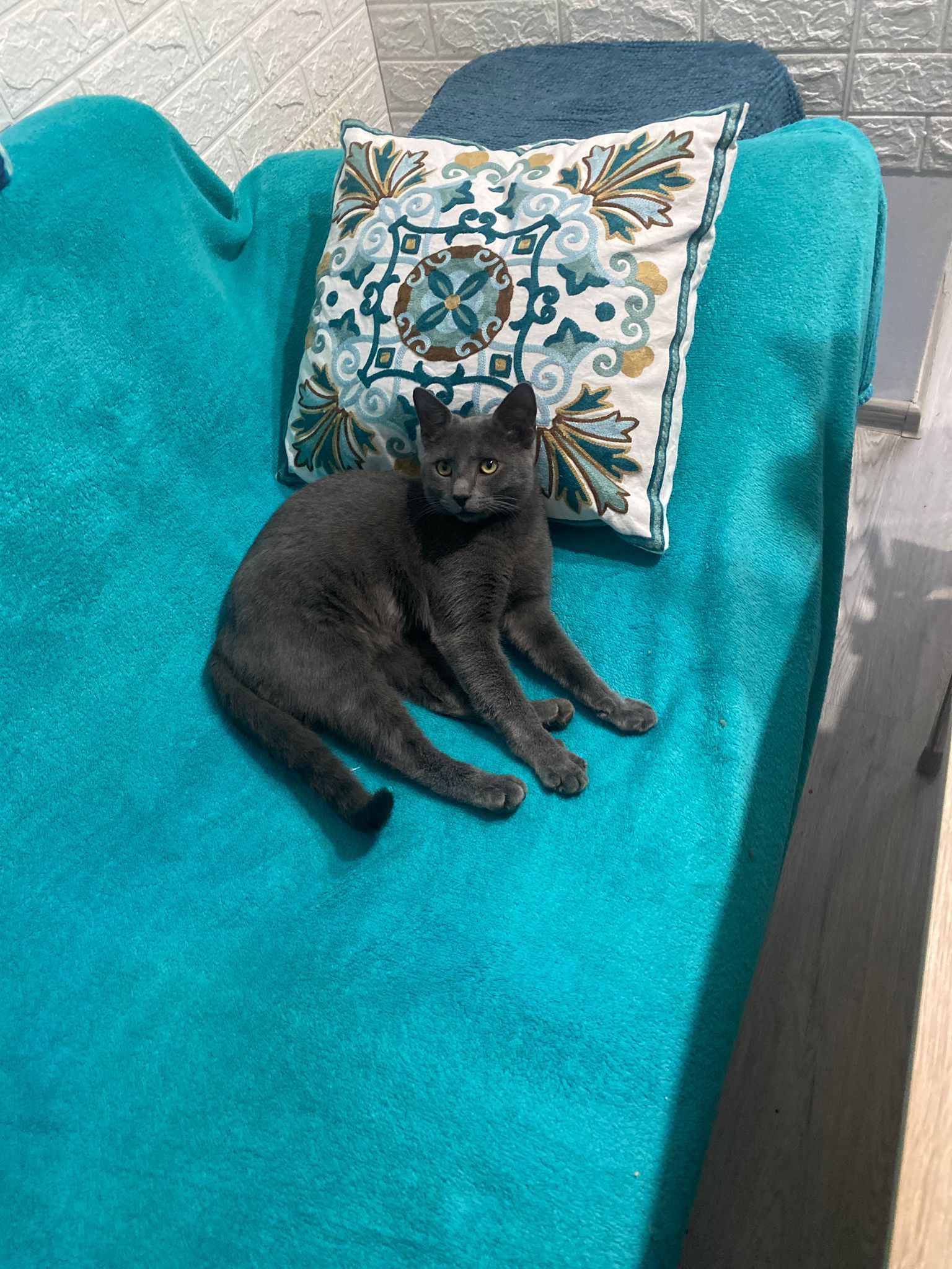 Miky - Strada Caransebeș, Arad