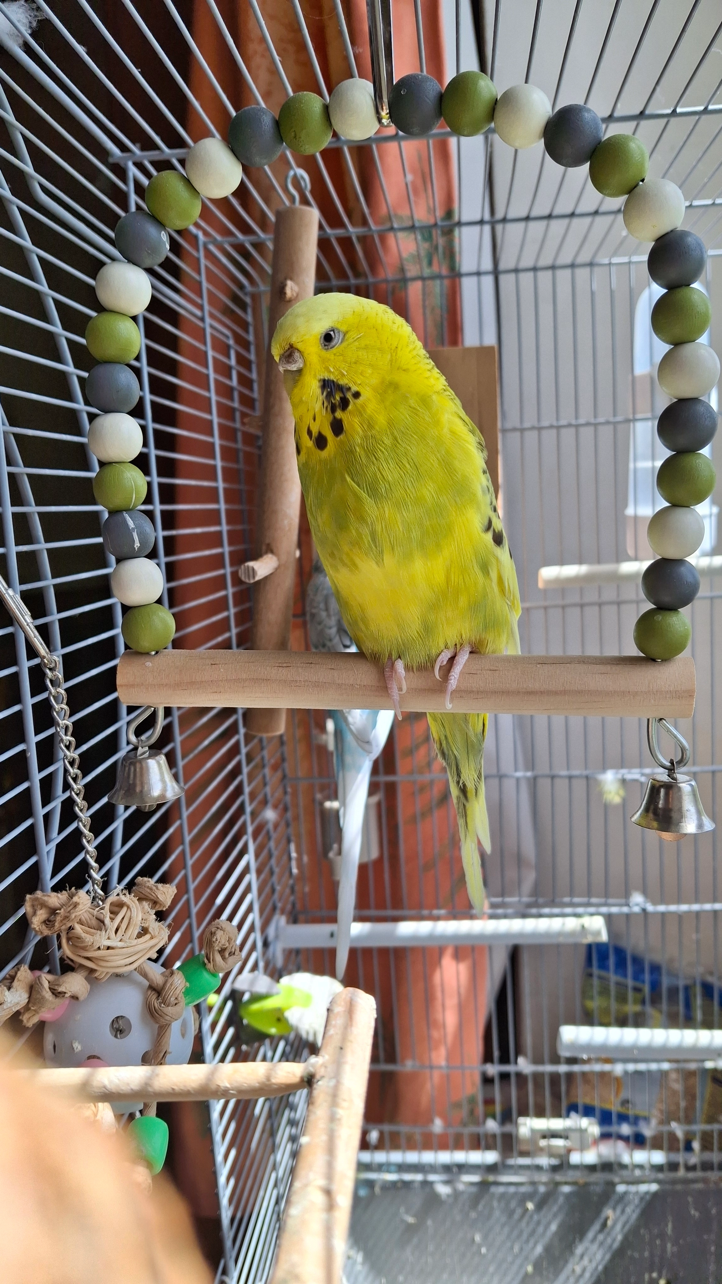 Perle - 39 Rue Charles Steiner, Belfort