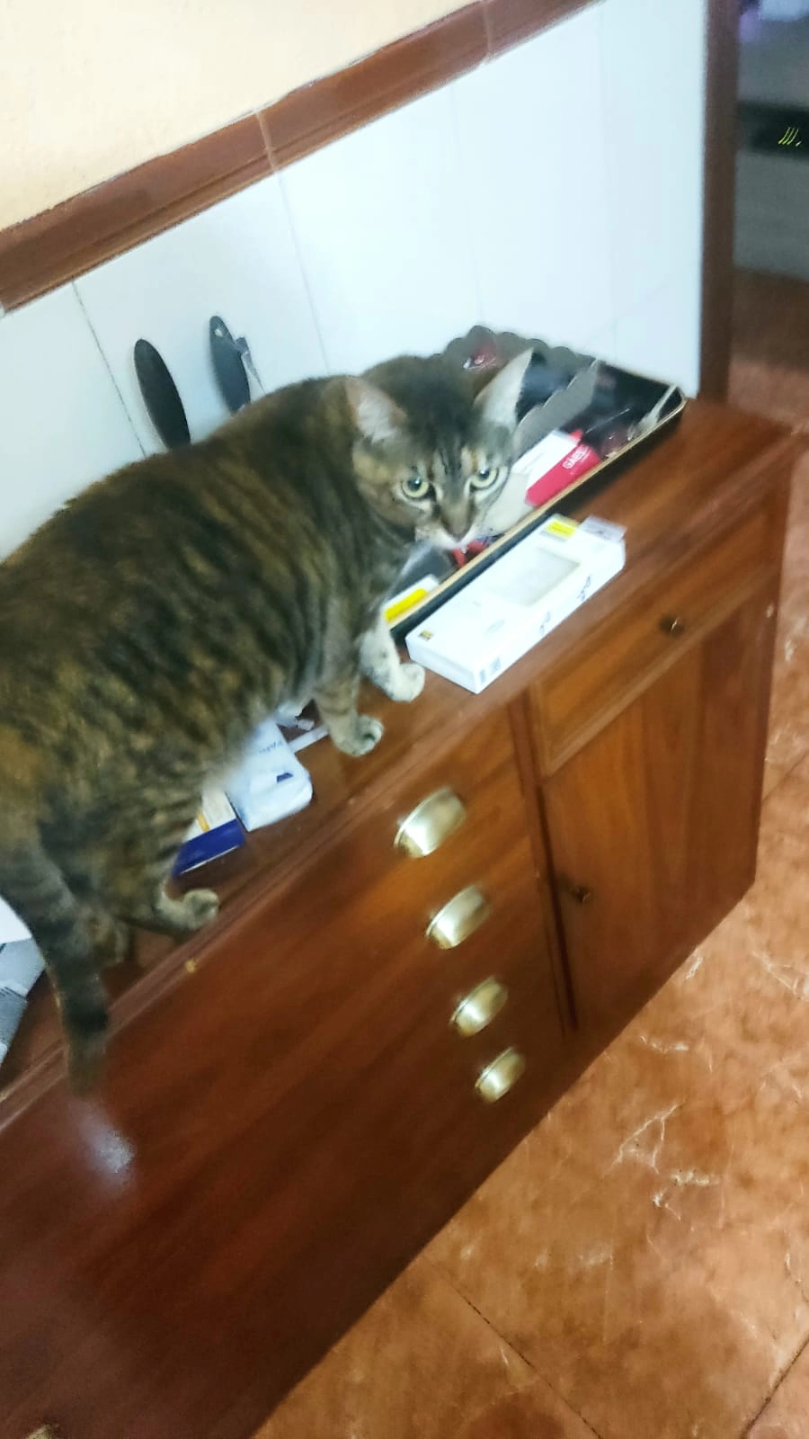 Luna - Calle Condestable Iranzo, Jaén