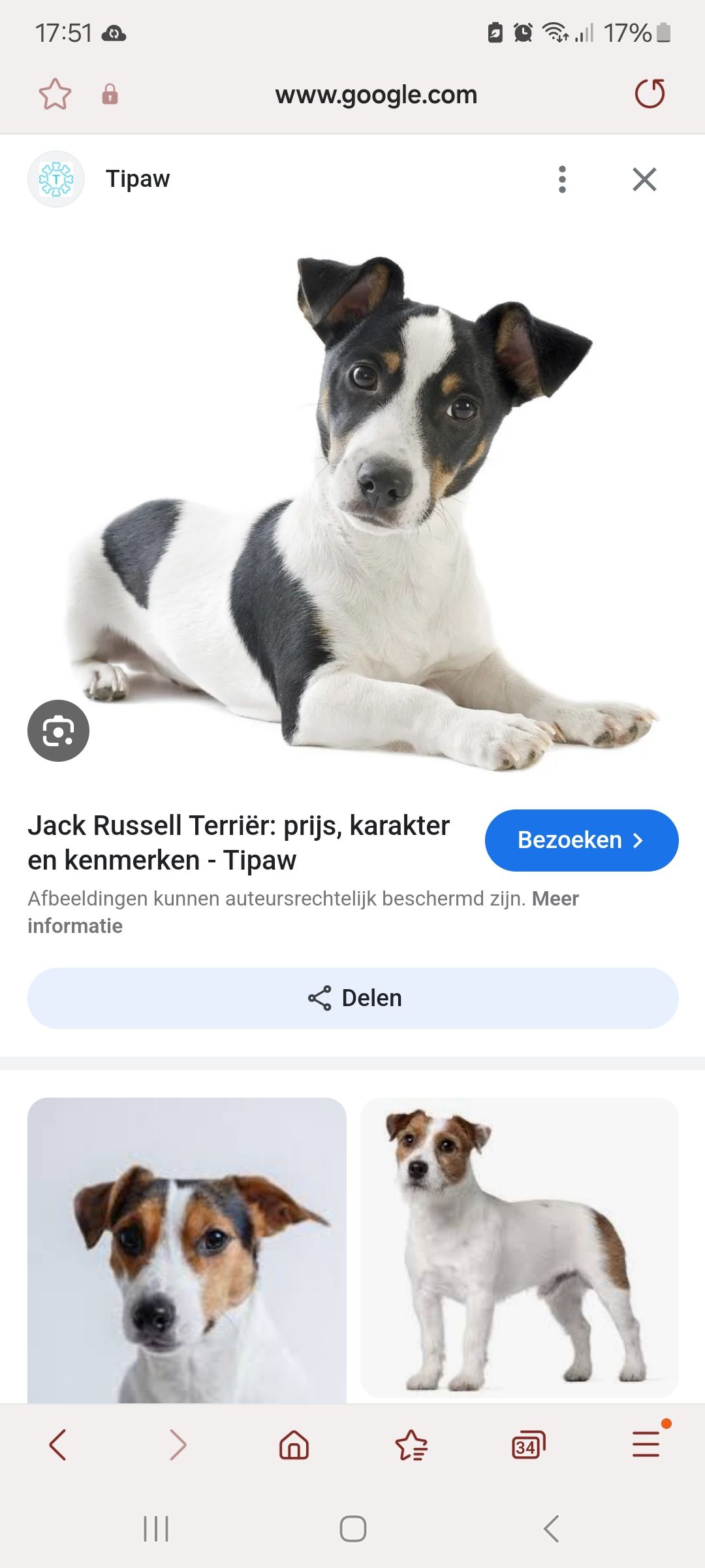 Joep - Gierenplas, Ruinen