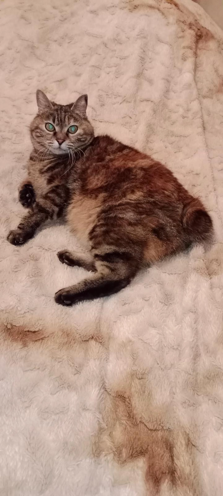 Busij - Sterzhausen, Lahntal