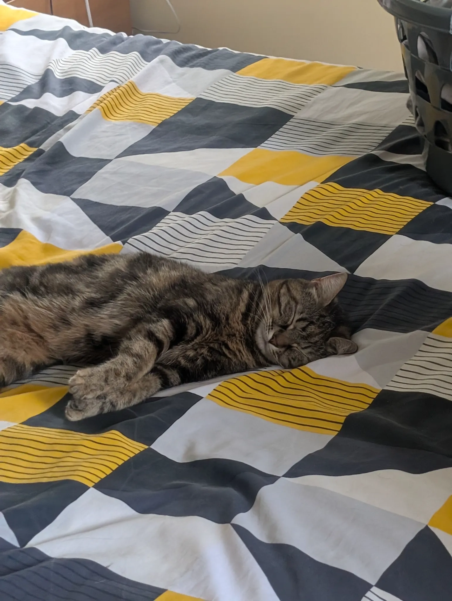 Nala - School Lane, Conington