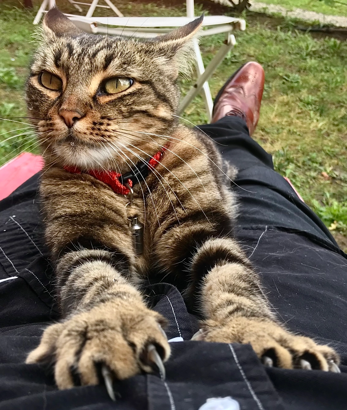 Little - Rue du Moulin Vieux, Castelnaudary