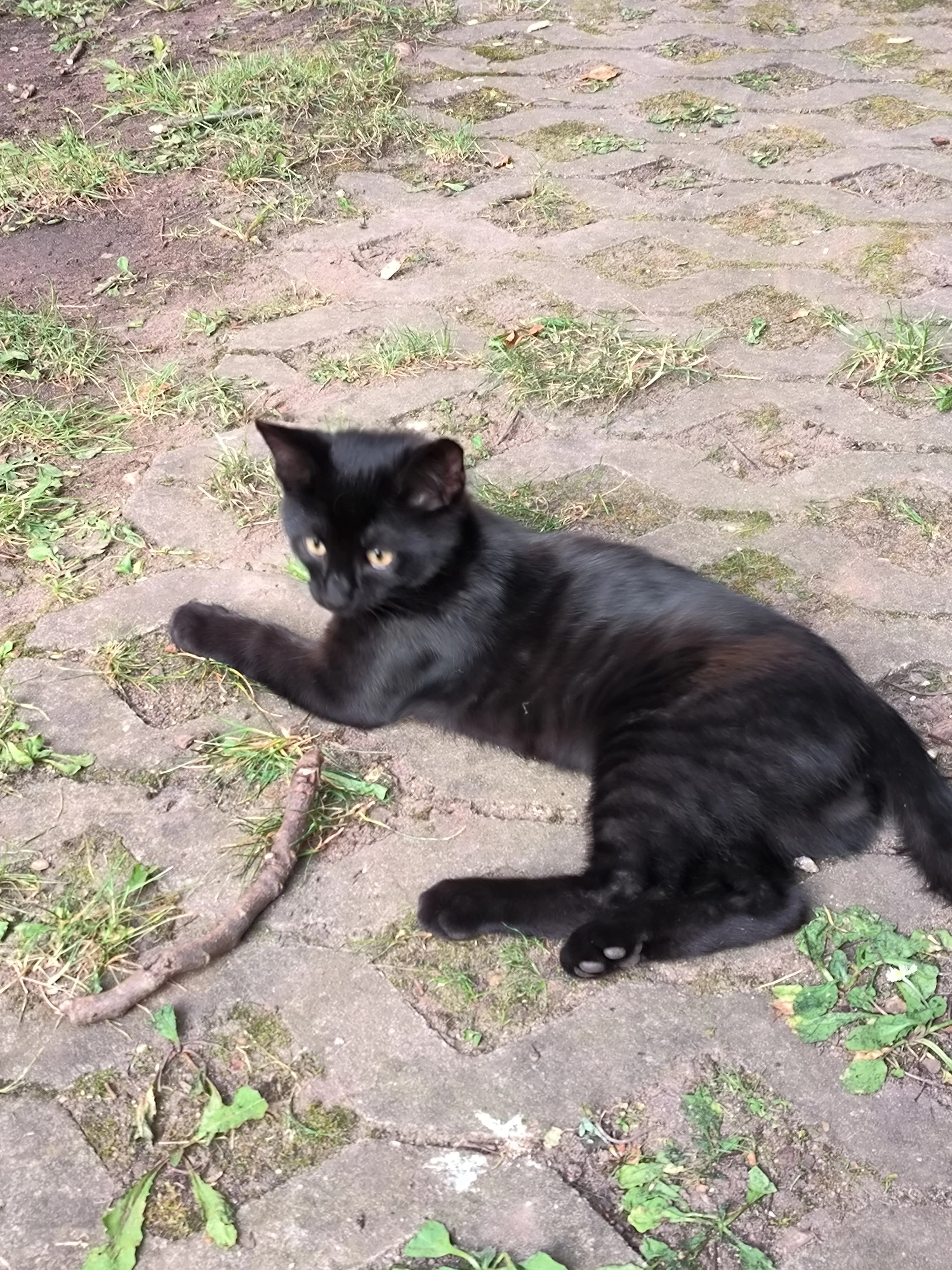 Sammy - Artilleriestraße, Erlangen