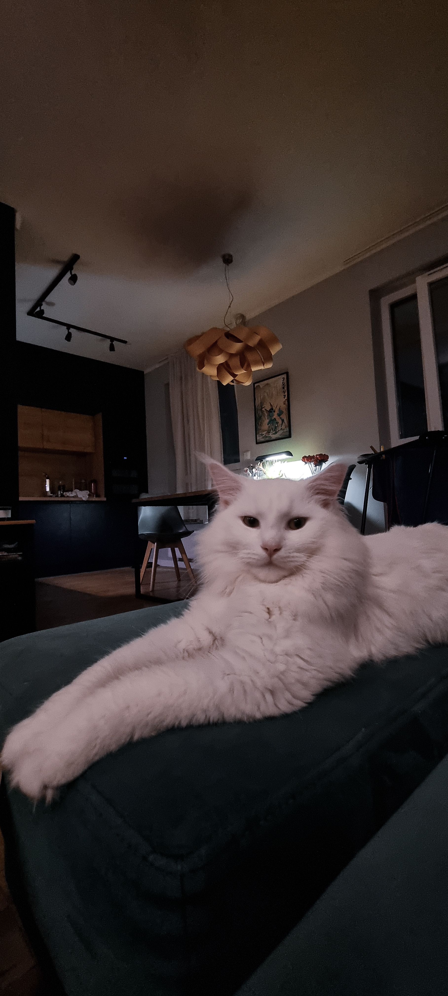 Shrio - Lisia, Nadolice Wielkie