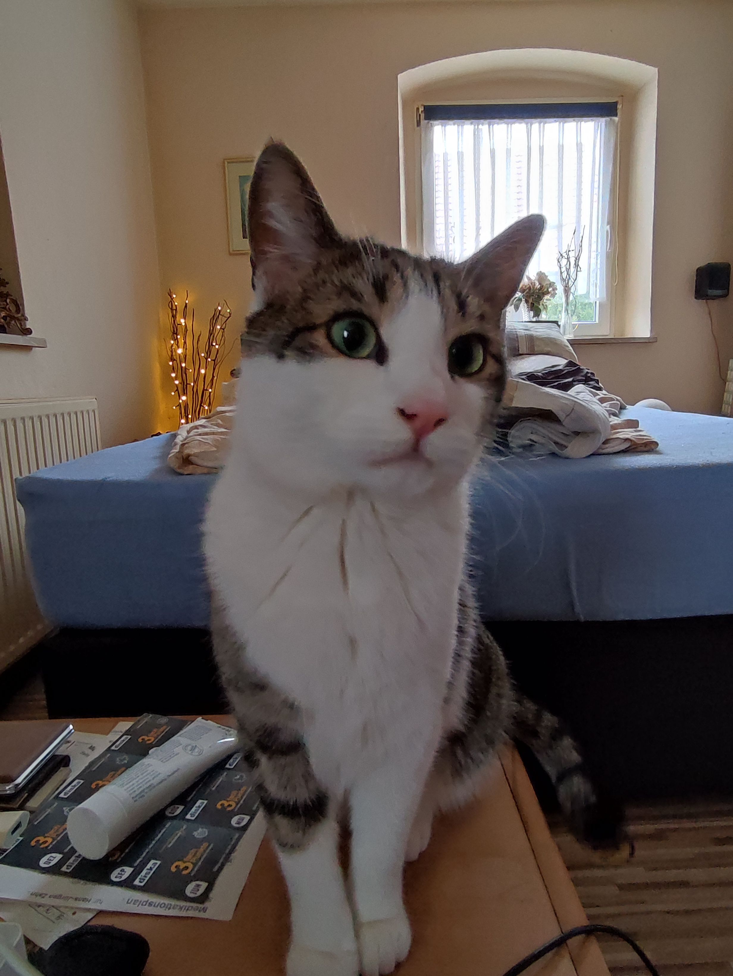 Diggi - Pölz, Mainleus