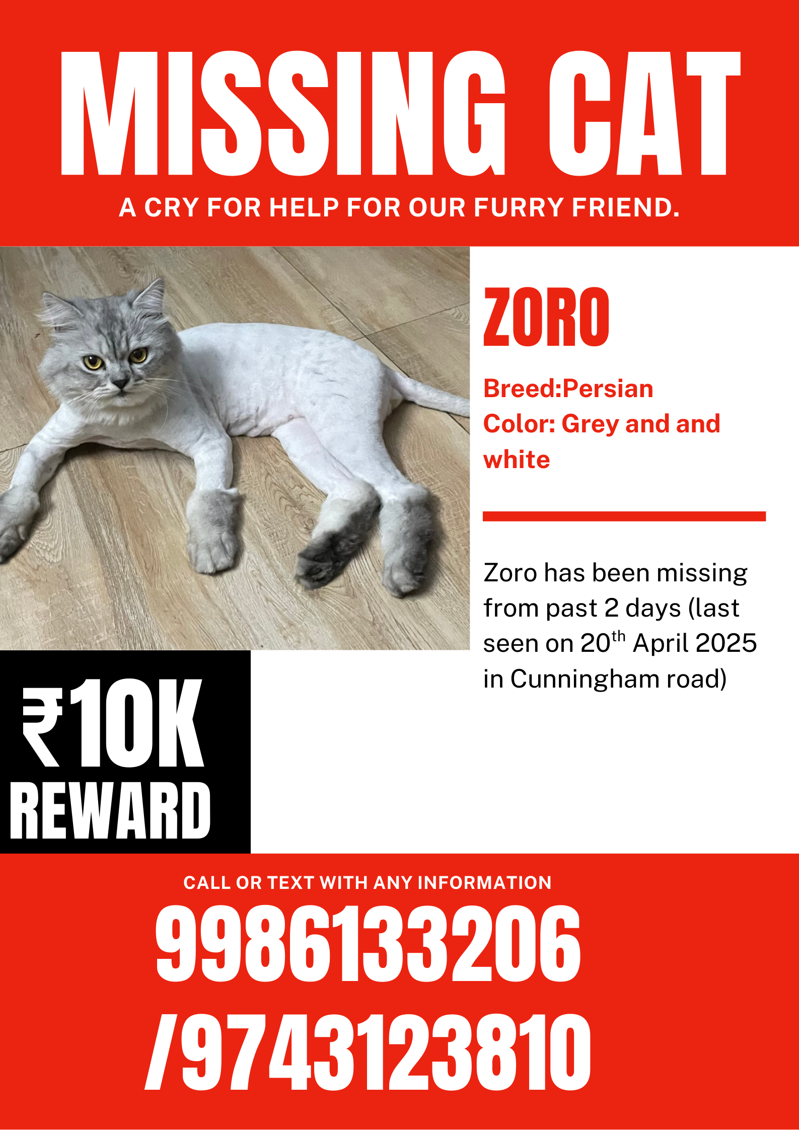 zoro - Cunningham Road, Shivaji Nagar