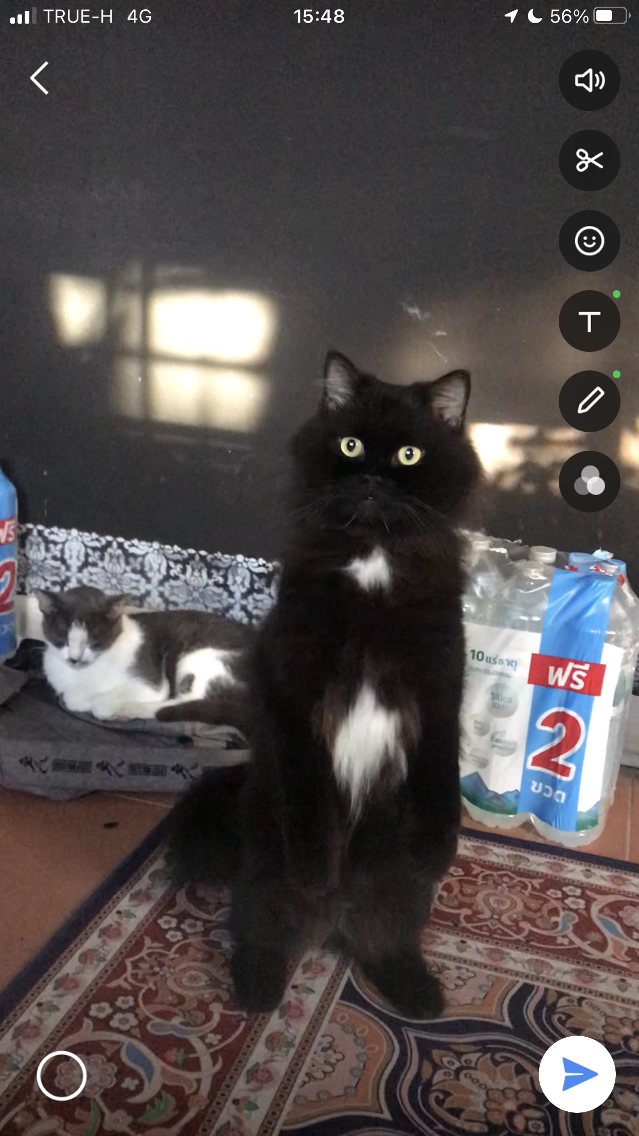 Richy - เทศบาล 9, Sattahip