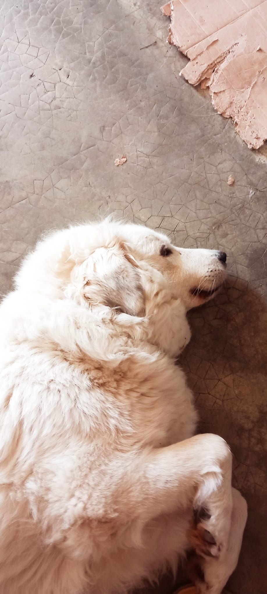 Belle  - Avenue Saint-Jean, Valentine