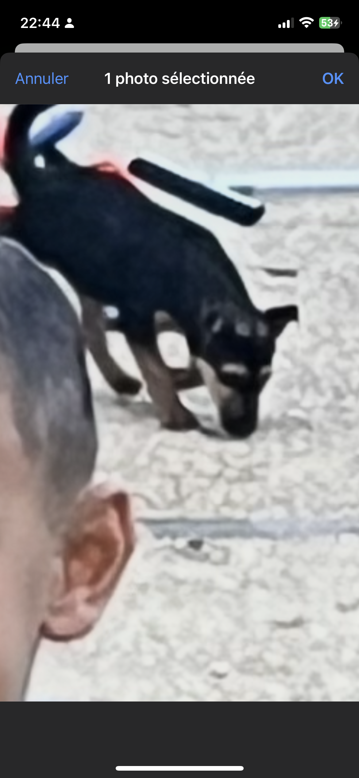 Flash - Route De Chalifert, Coupvray