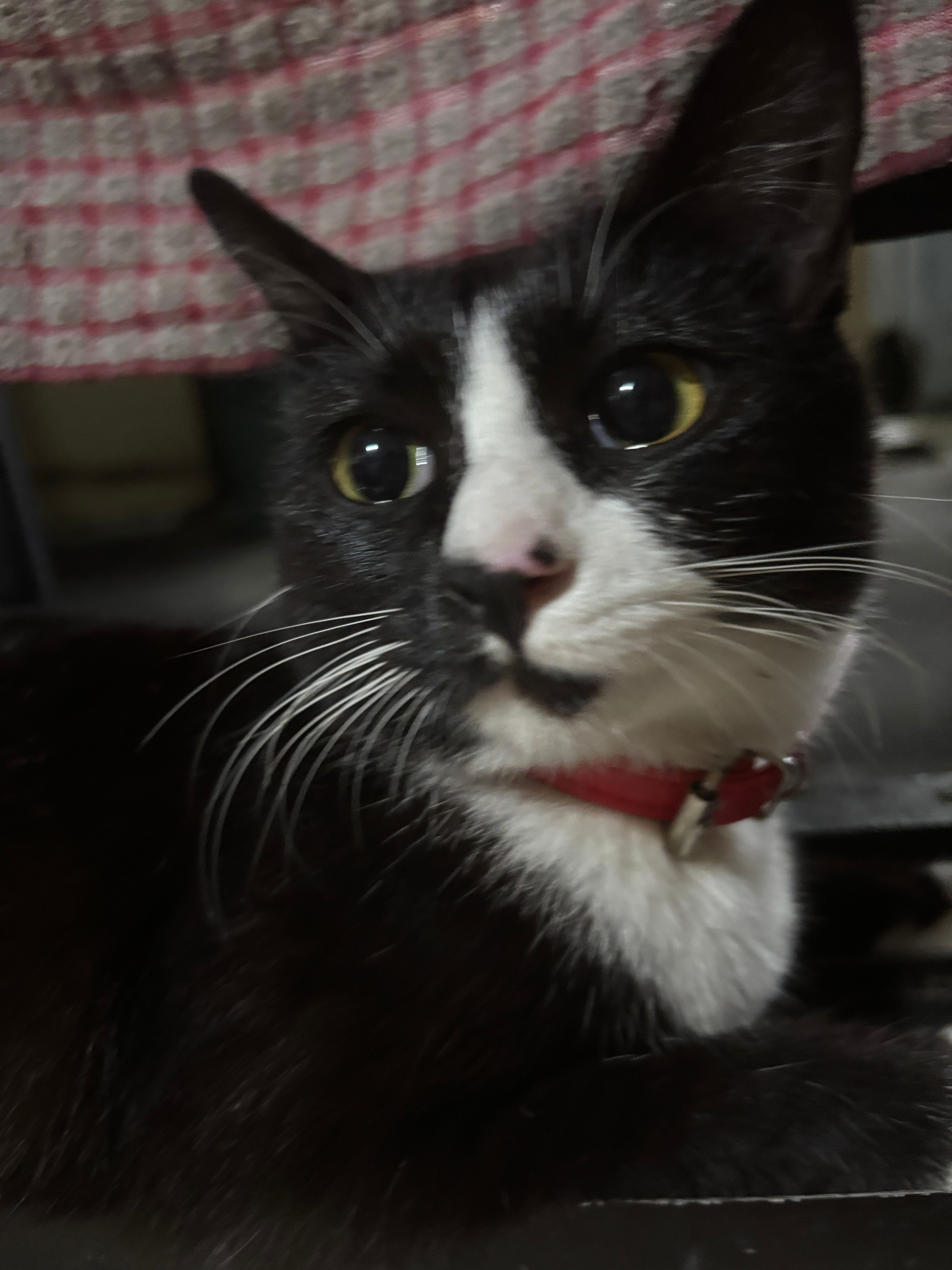 Nila - 52100, Kuala Lumpur