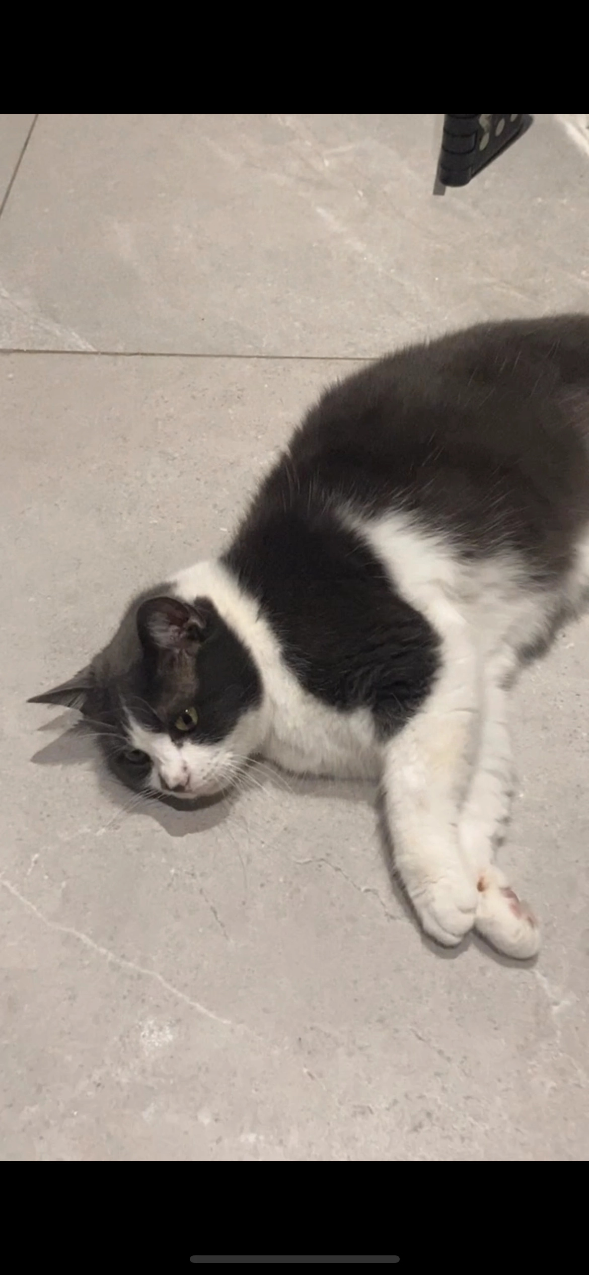 Sally - Peter Benoitstraat, Dilbeek