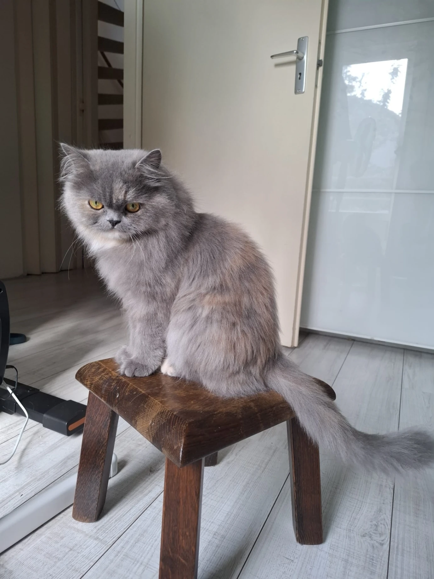 Miky - Fuchsiastraat, Amersfoort