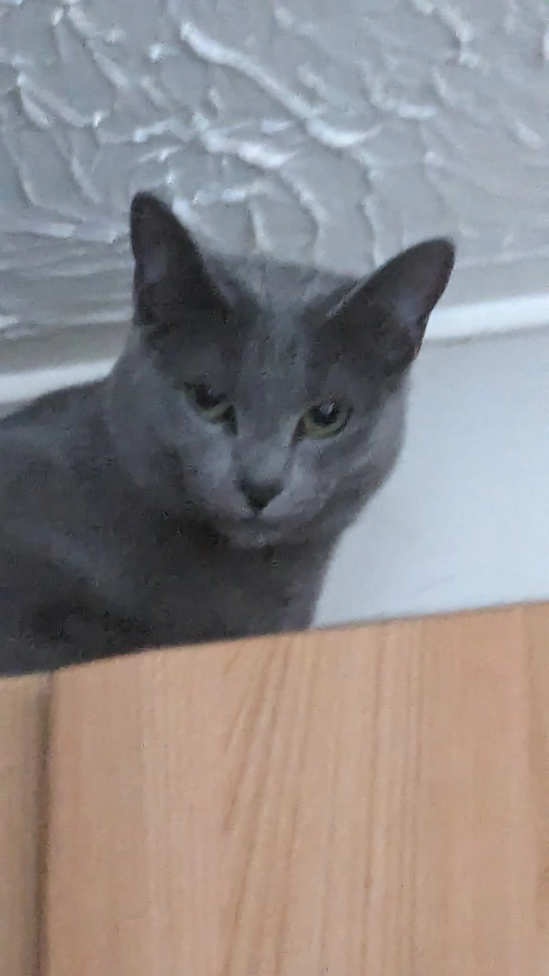 Star - Maxwell Road, Peterborough