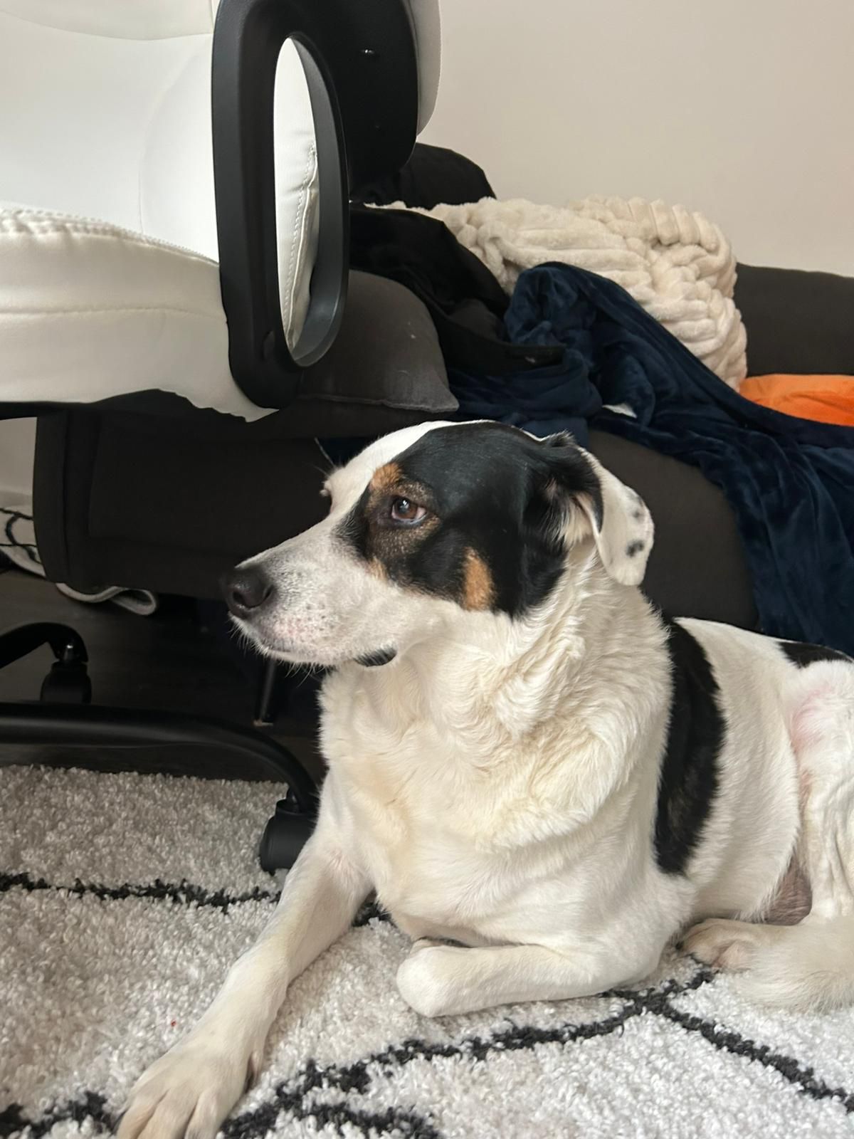 Munia - Centenary Square, Birmingham