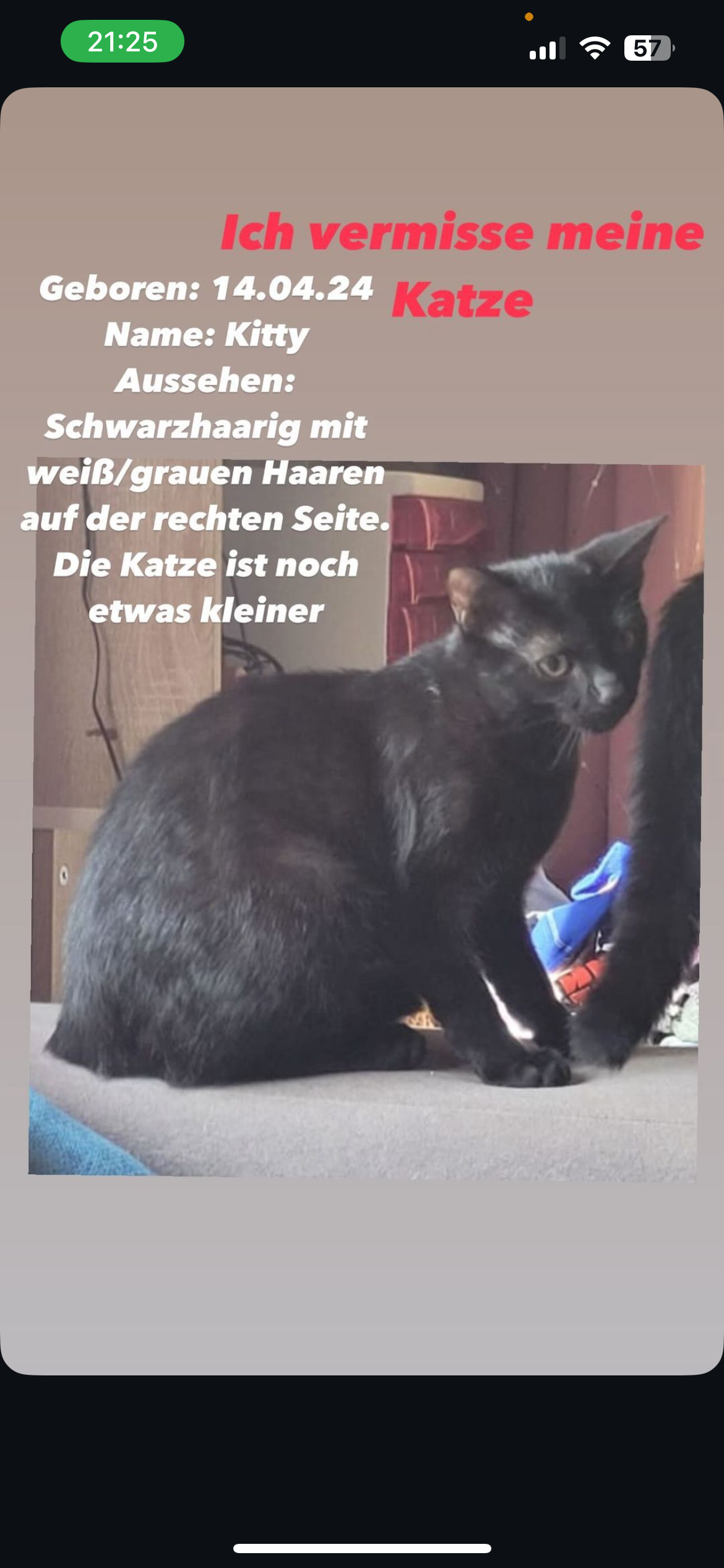 Kitty - Franz-Schubert-Straße, Schongau