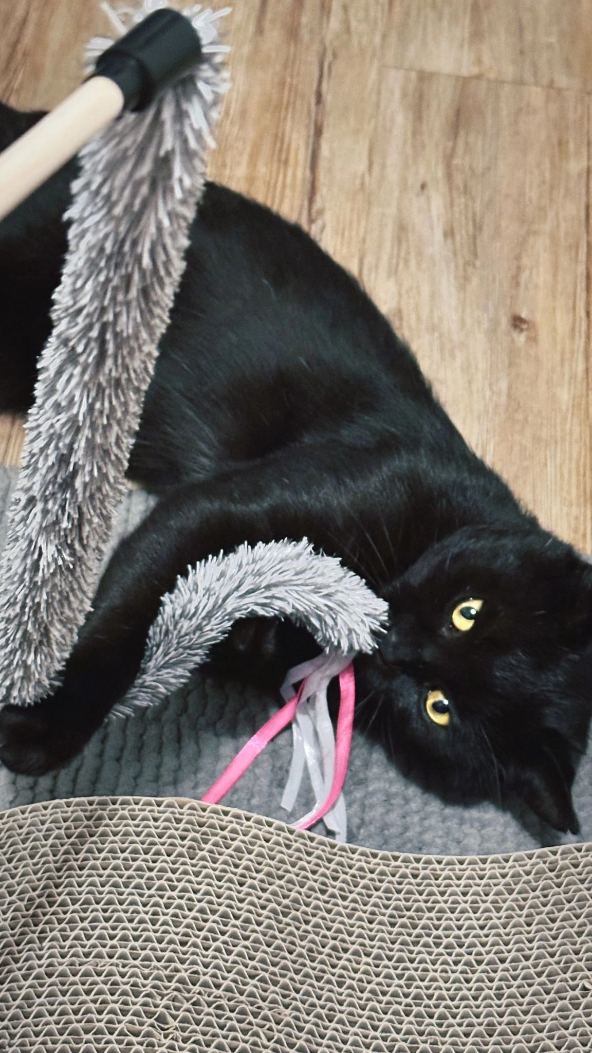 Grom - Langenhorner Chaussee, Hamburg