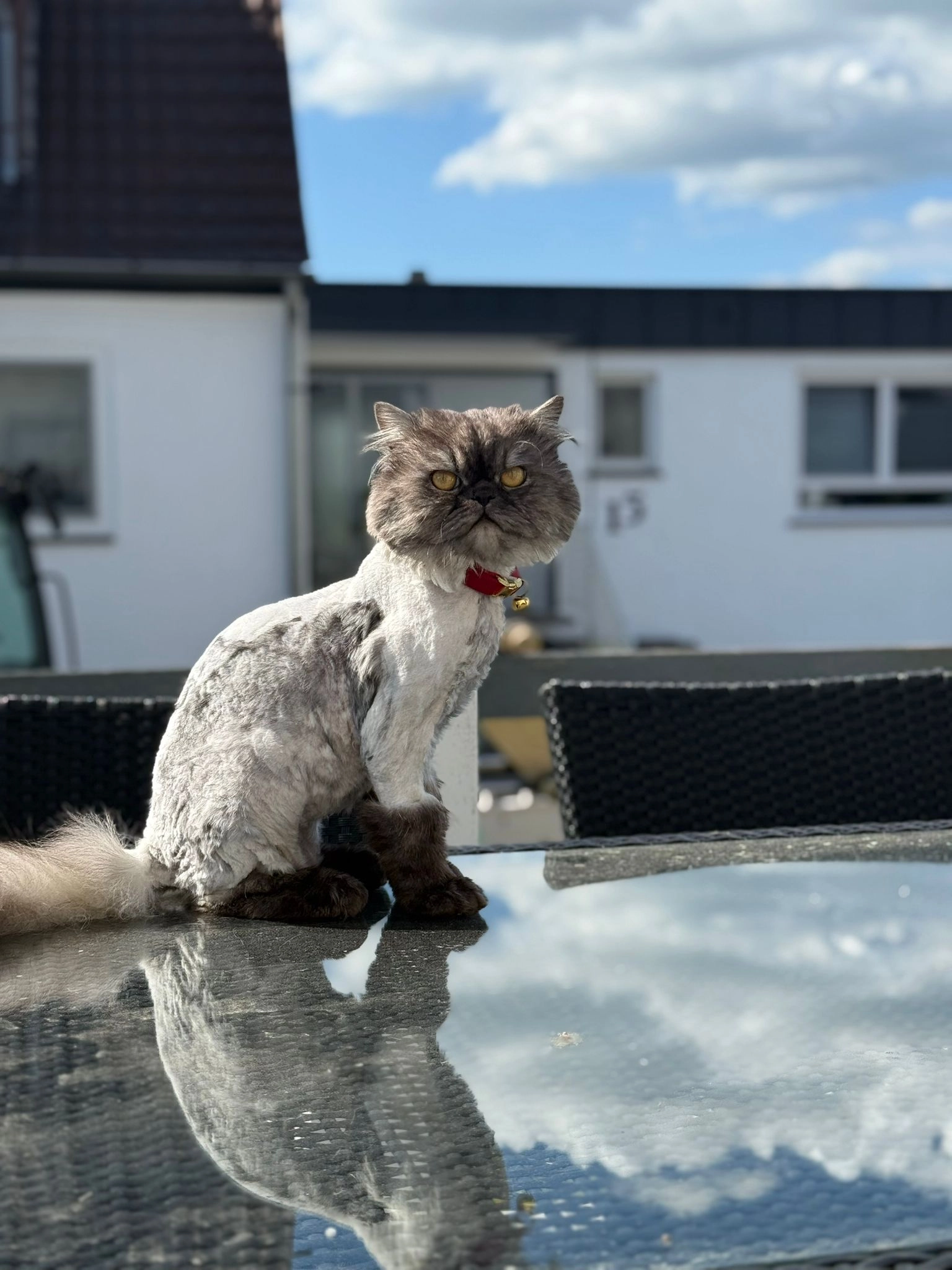 Dijo - Am Brückenhof 14, Niestetal