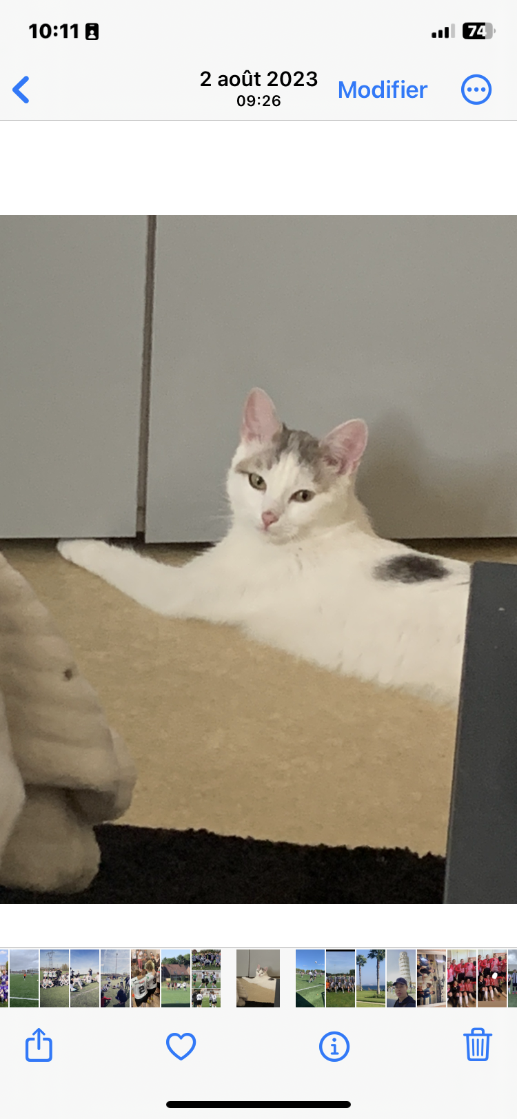 Maya - Avenue des Nations Unies, Hammamet