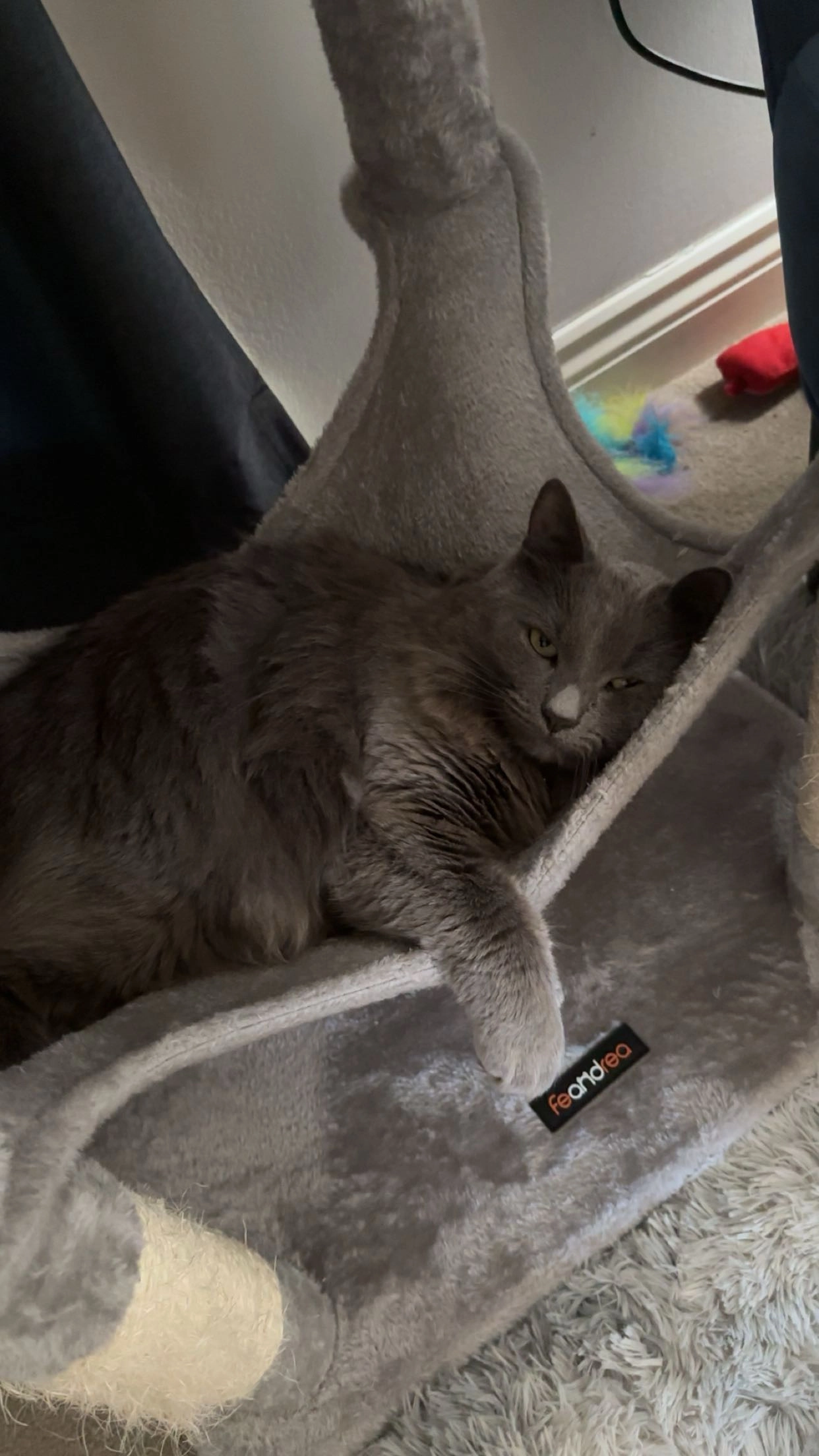 Vanitas Andrews - Savannah Drive, Bridgwater