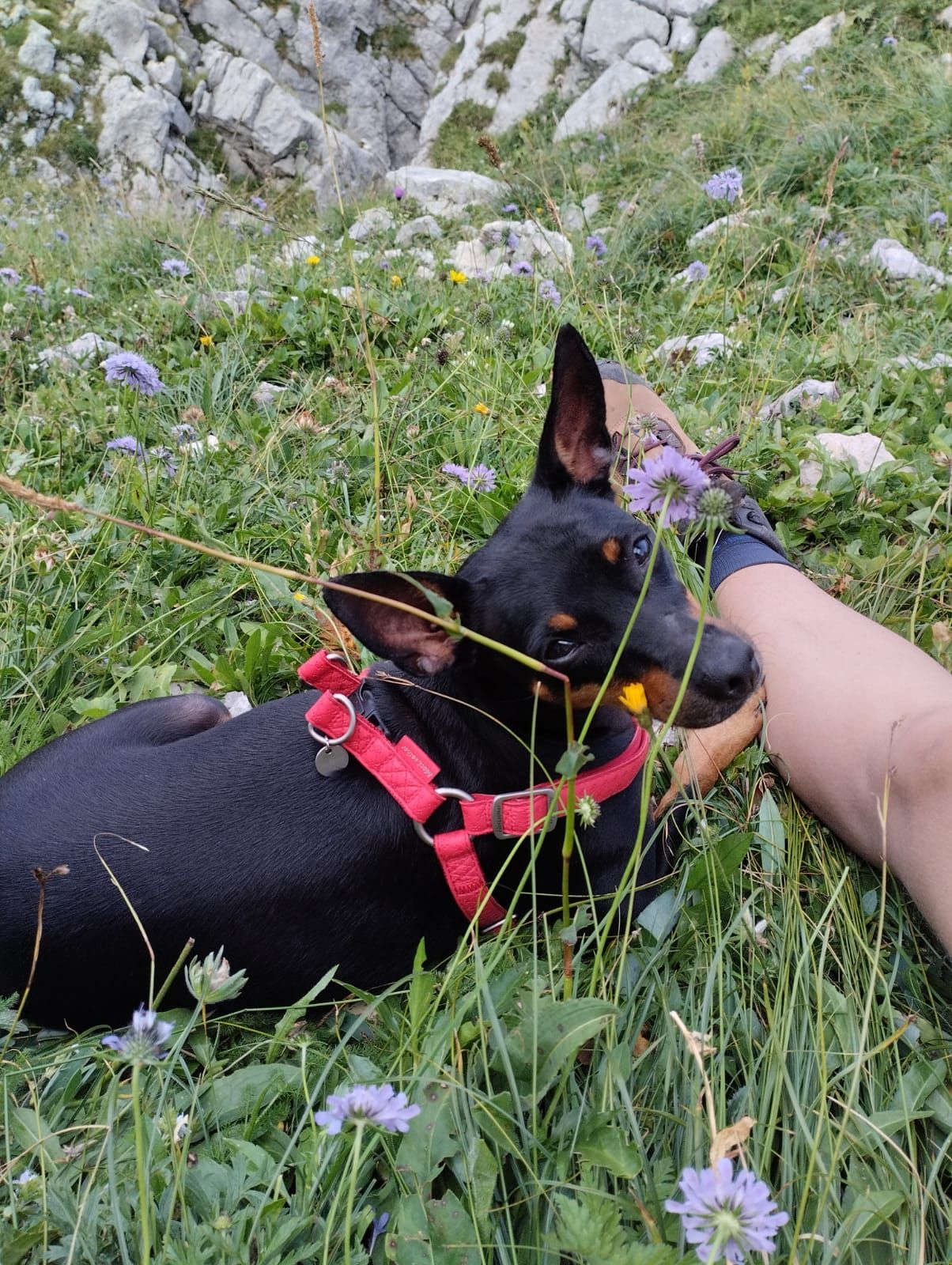 Rocket - Glorieta Puerta De Toledo, Madrid
