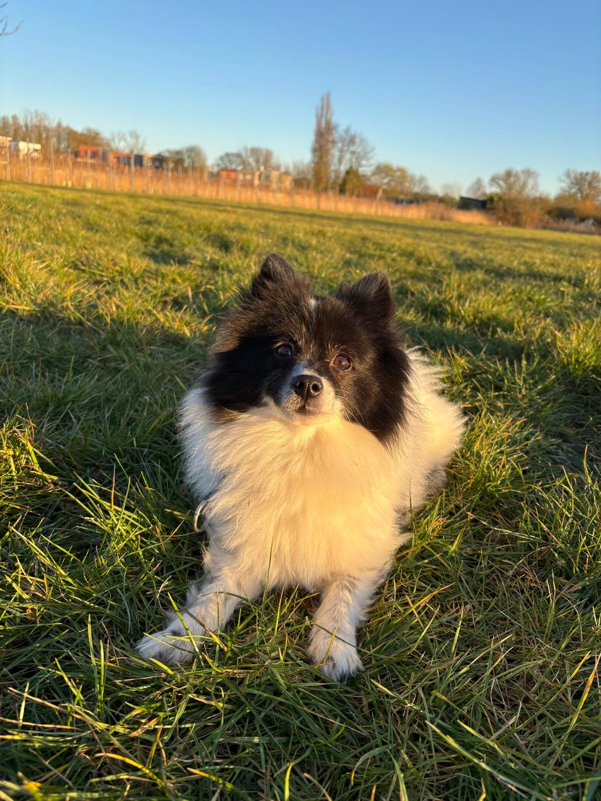 Indie - Edward Caertsstraat 4, Antwerpen