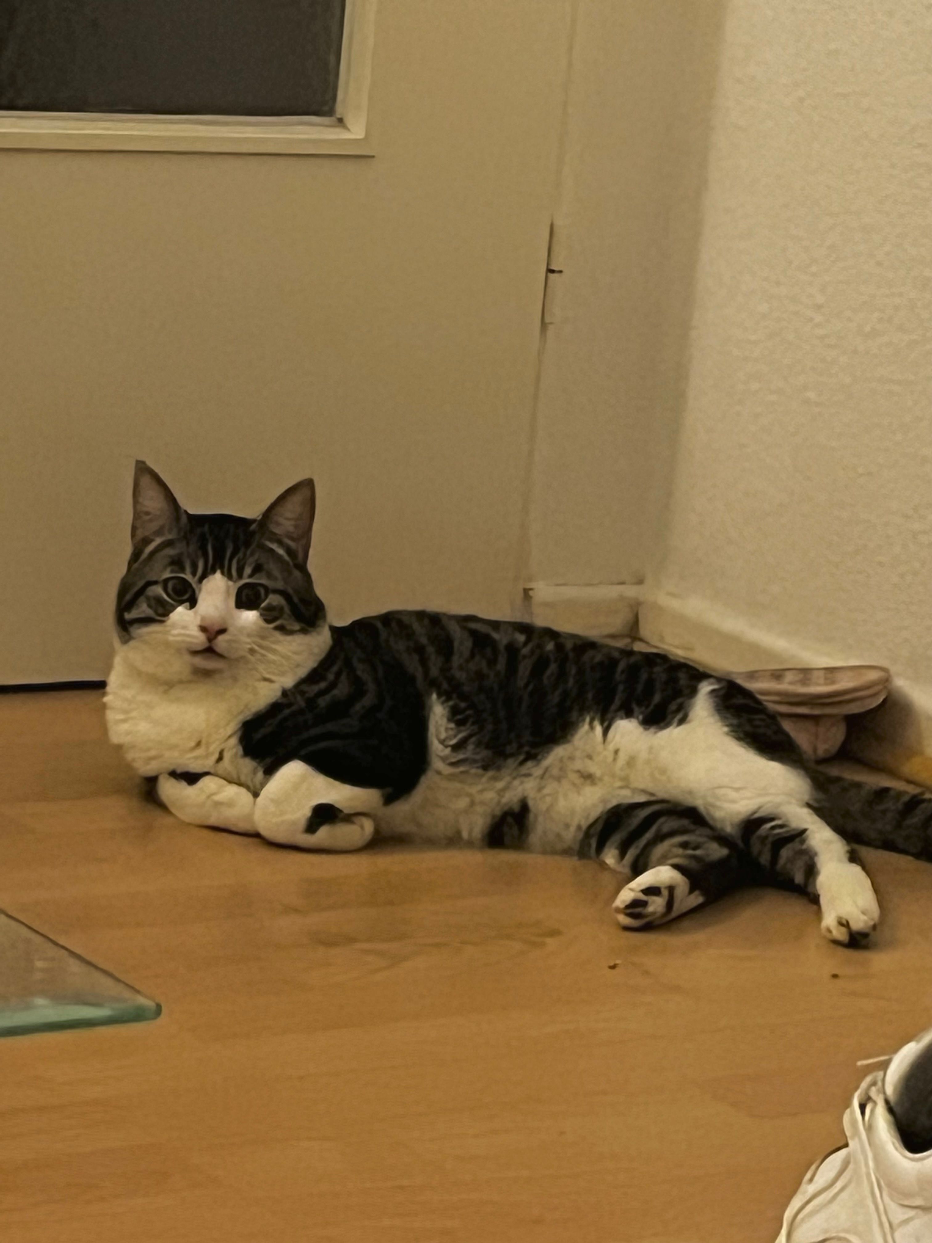 Tyson - Bülkenstraße, Bremerhaven