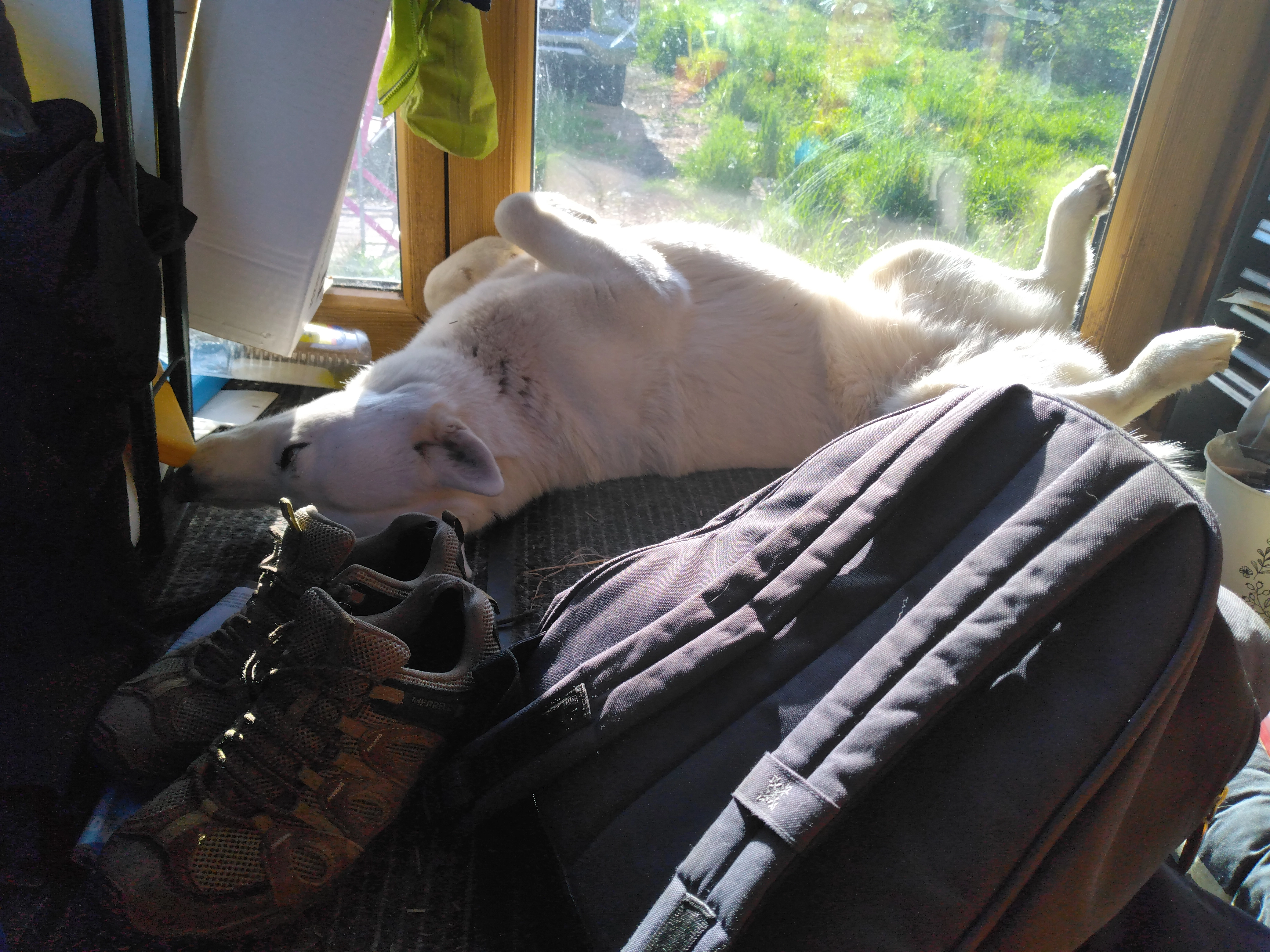 Pomette - Rue du Muguet, Sundhoffen