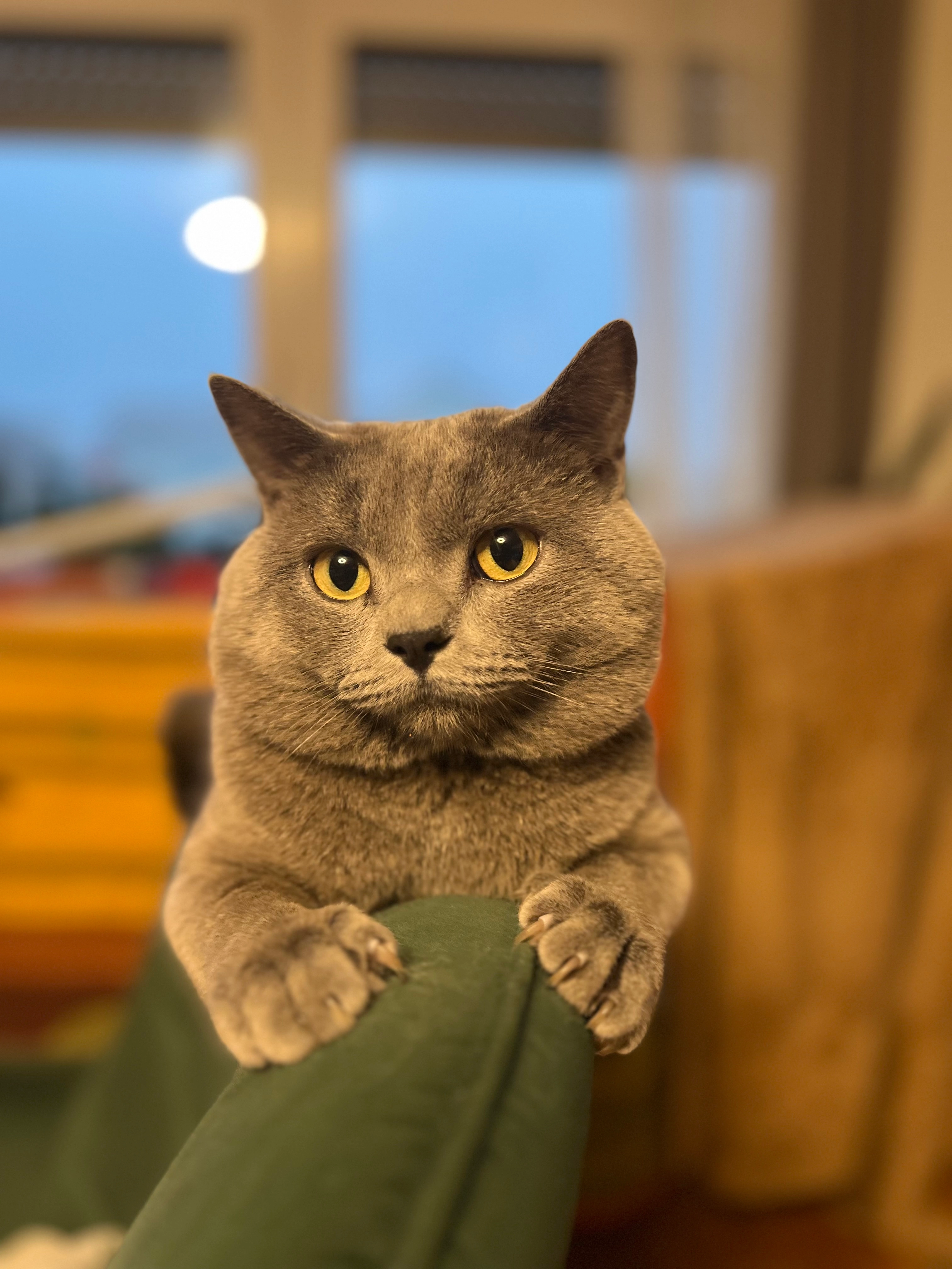 Leo - Stangenhaustraße, Herbrechtingen