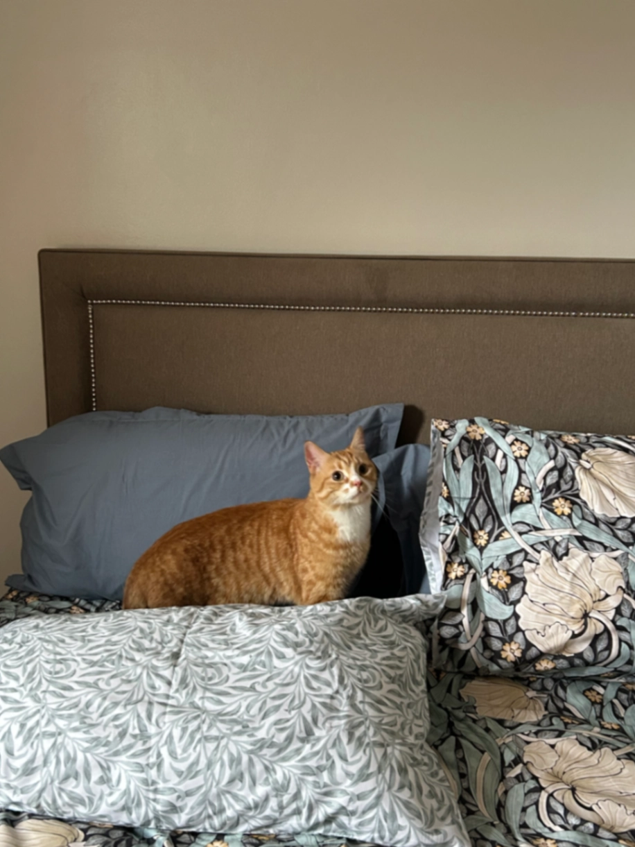 Latte - North Church Side, Hull