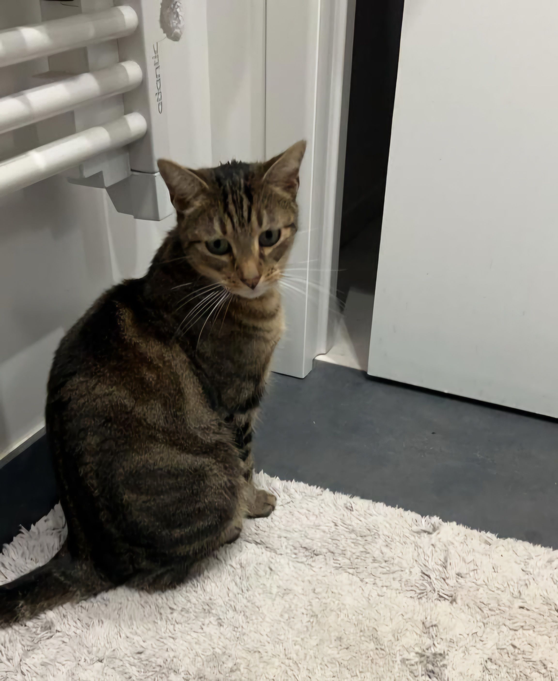 Oli - Chemin du Château, Villars-Fontaine