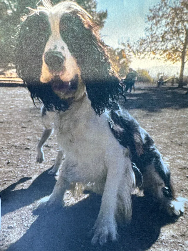 Otto - 10517 S Normandie Ave, Los Angeles