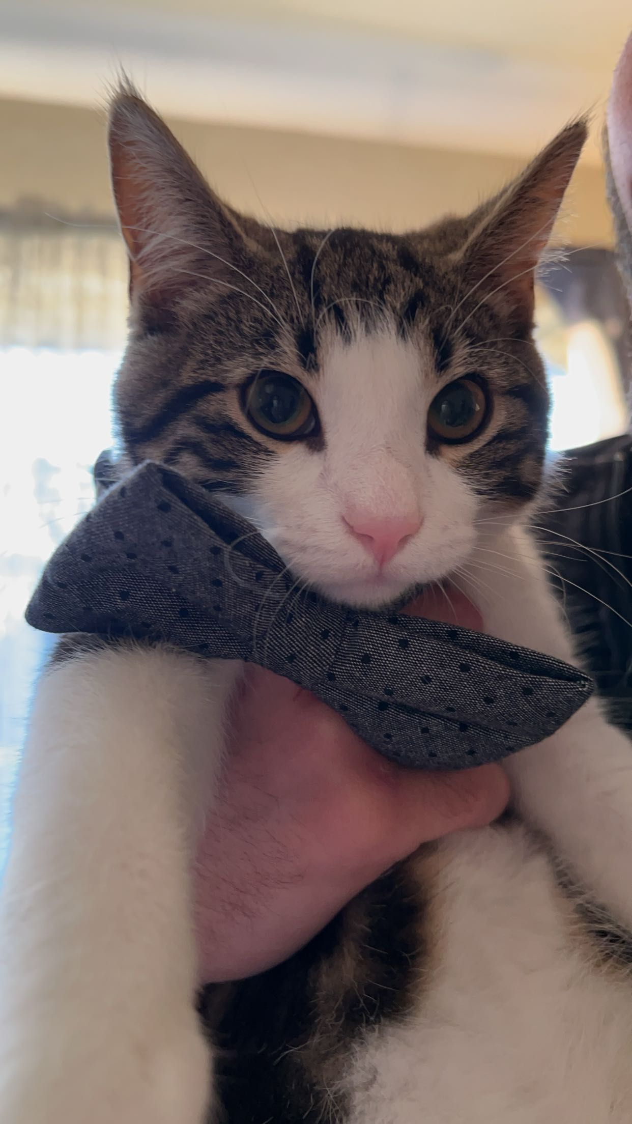 Sucker - Lindblomsvägen, Ronneby