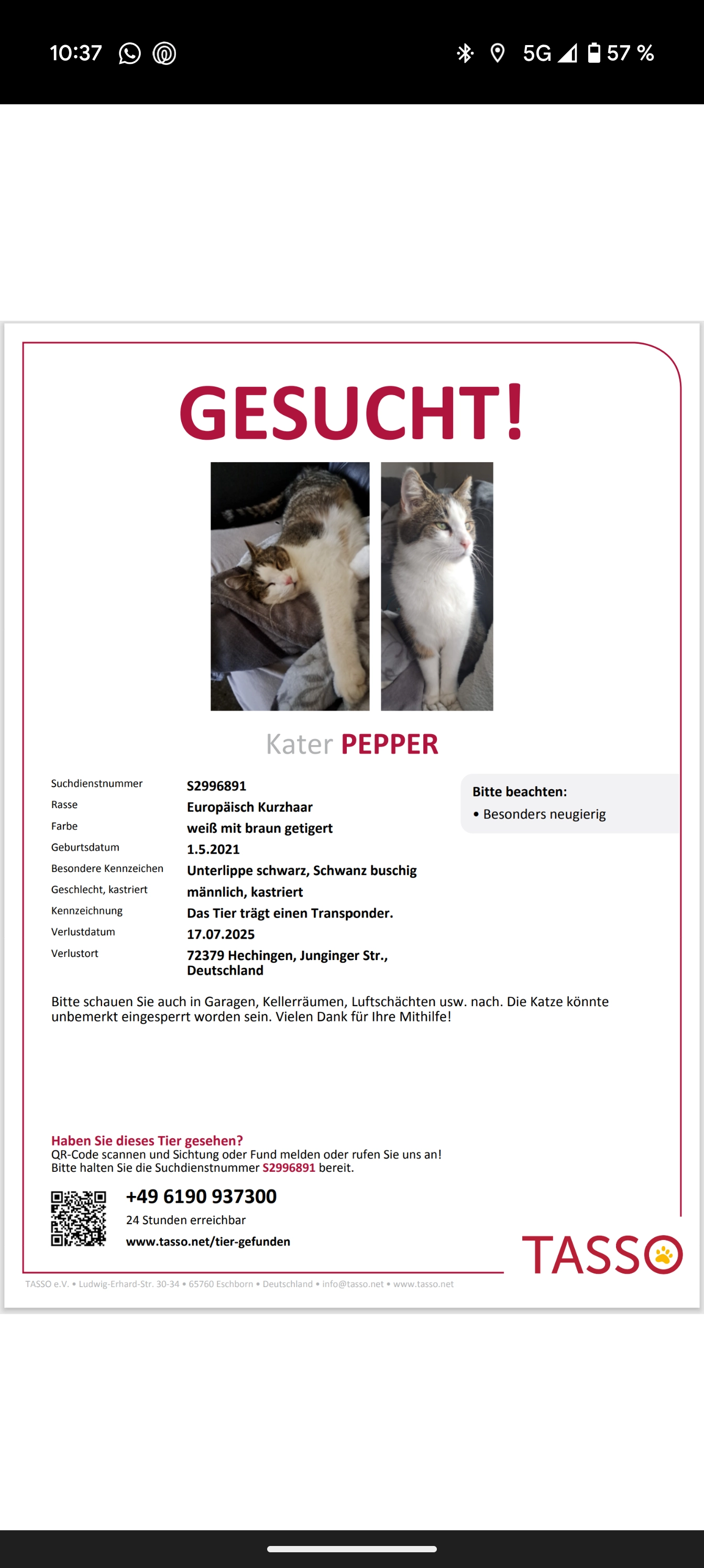 Pepper  - Junginger Straße, Hechingen