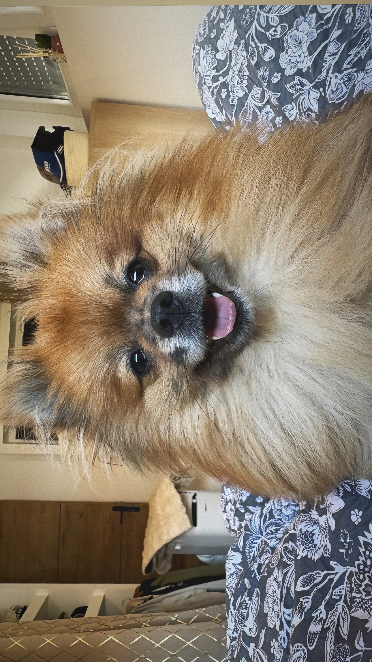 hermès  - Rue de la Cavée, Angres