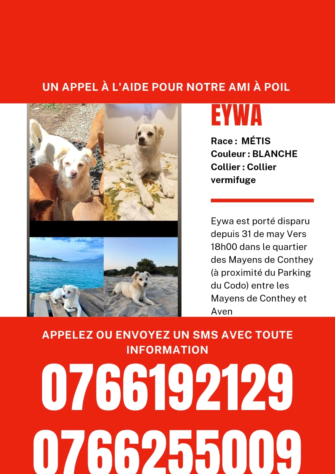 Eywa - Rue Du Vieux-Village, Ardon