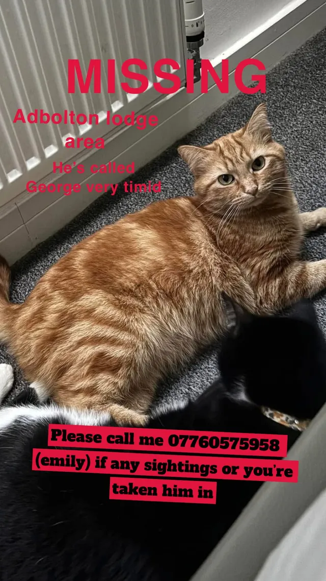 George - NG4 1, Nottingham