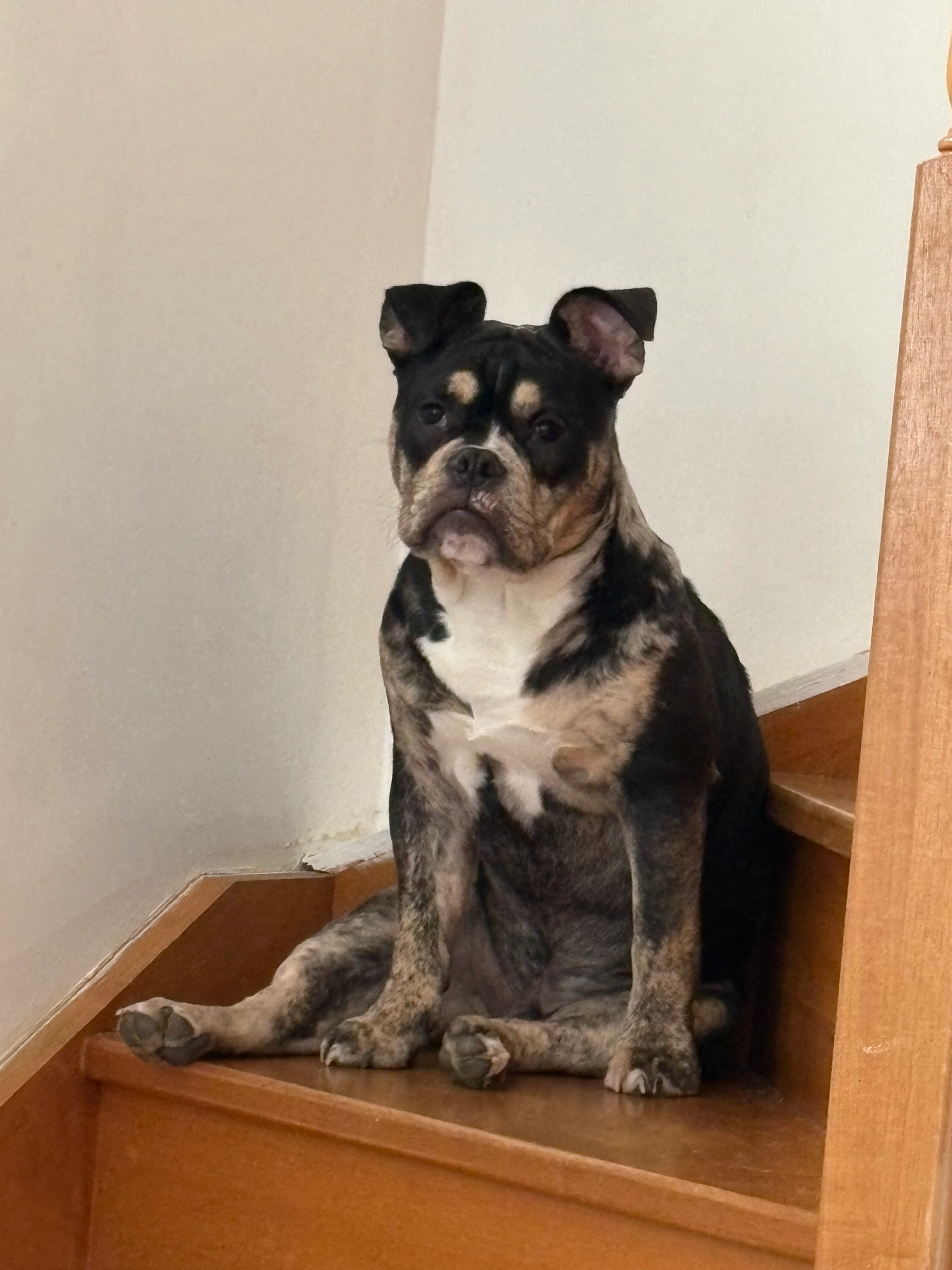 Vini - 98 Rue des Grandes Filles-Dieu, Chartres