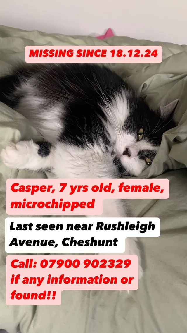Kasper - Rushleigh Avenue, Waltham Cross