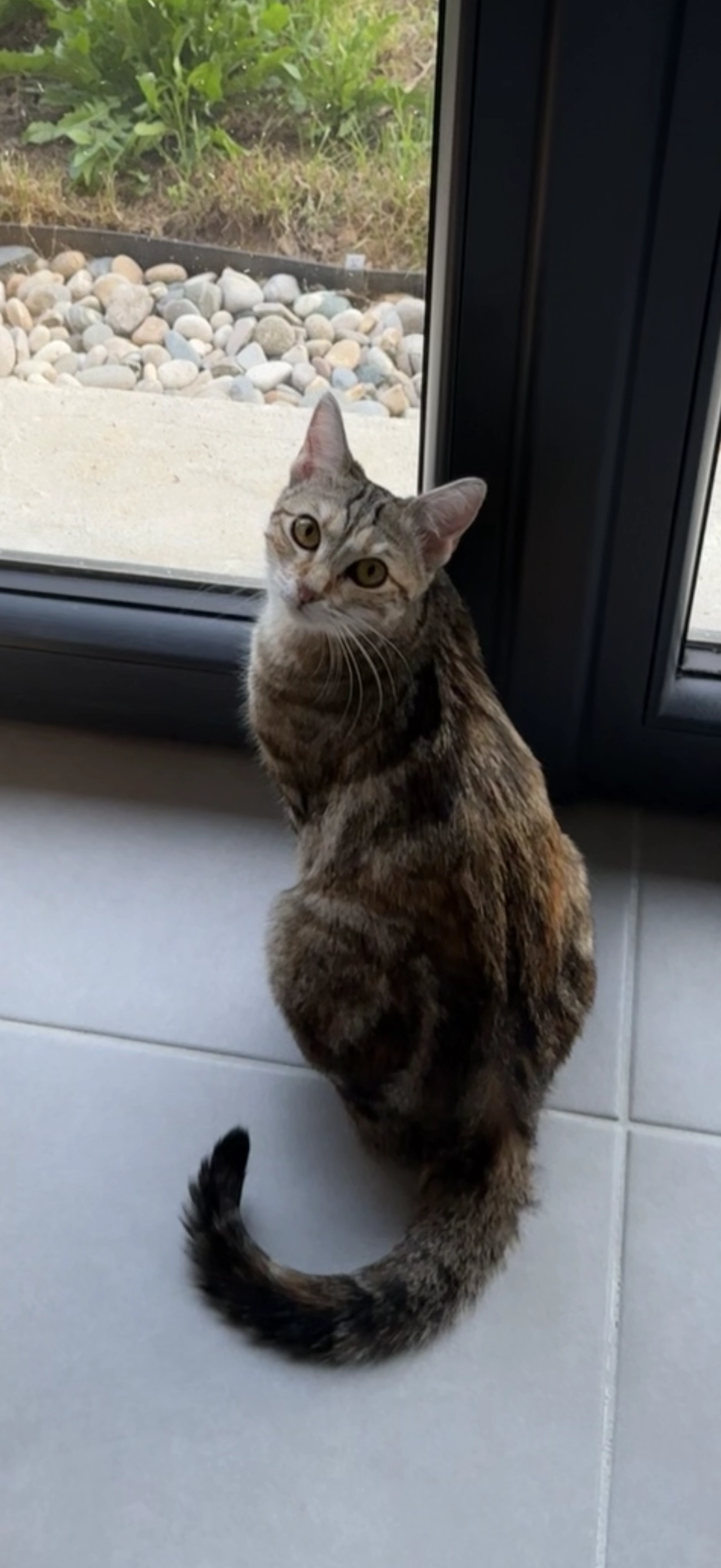 Héra - Rue Jean Jaurès, Portes-lès-Valence