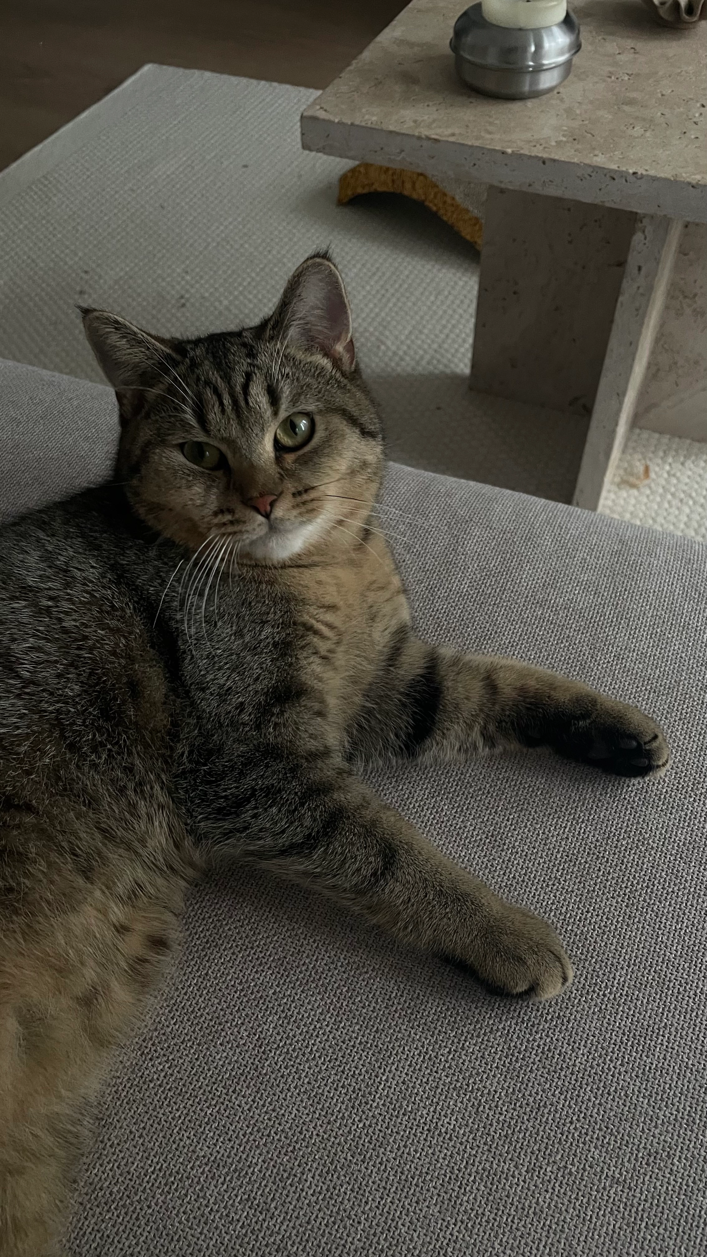 Kurt - Winterlindenweg, Dortmund