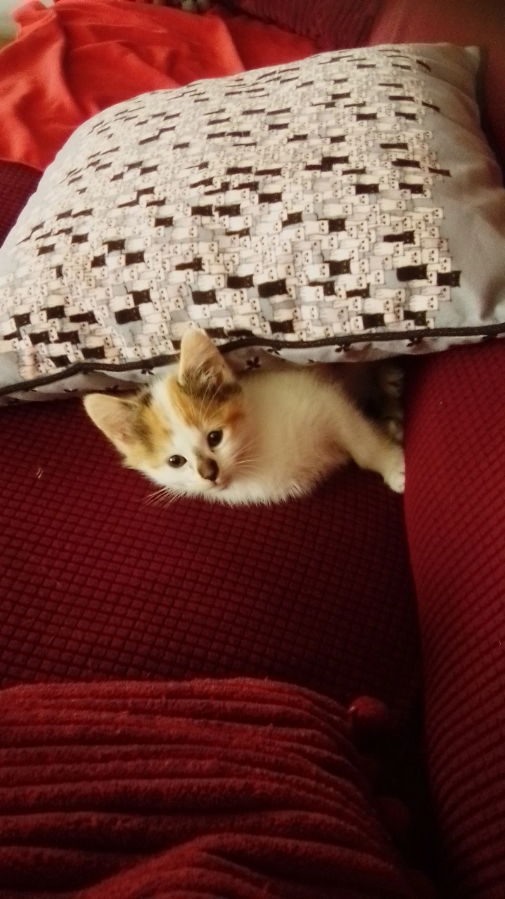 Xéna - Route de Boncourt, Anet