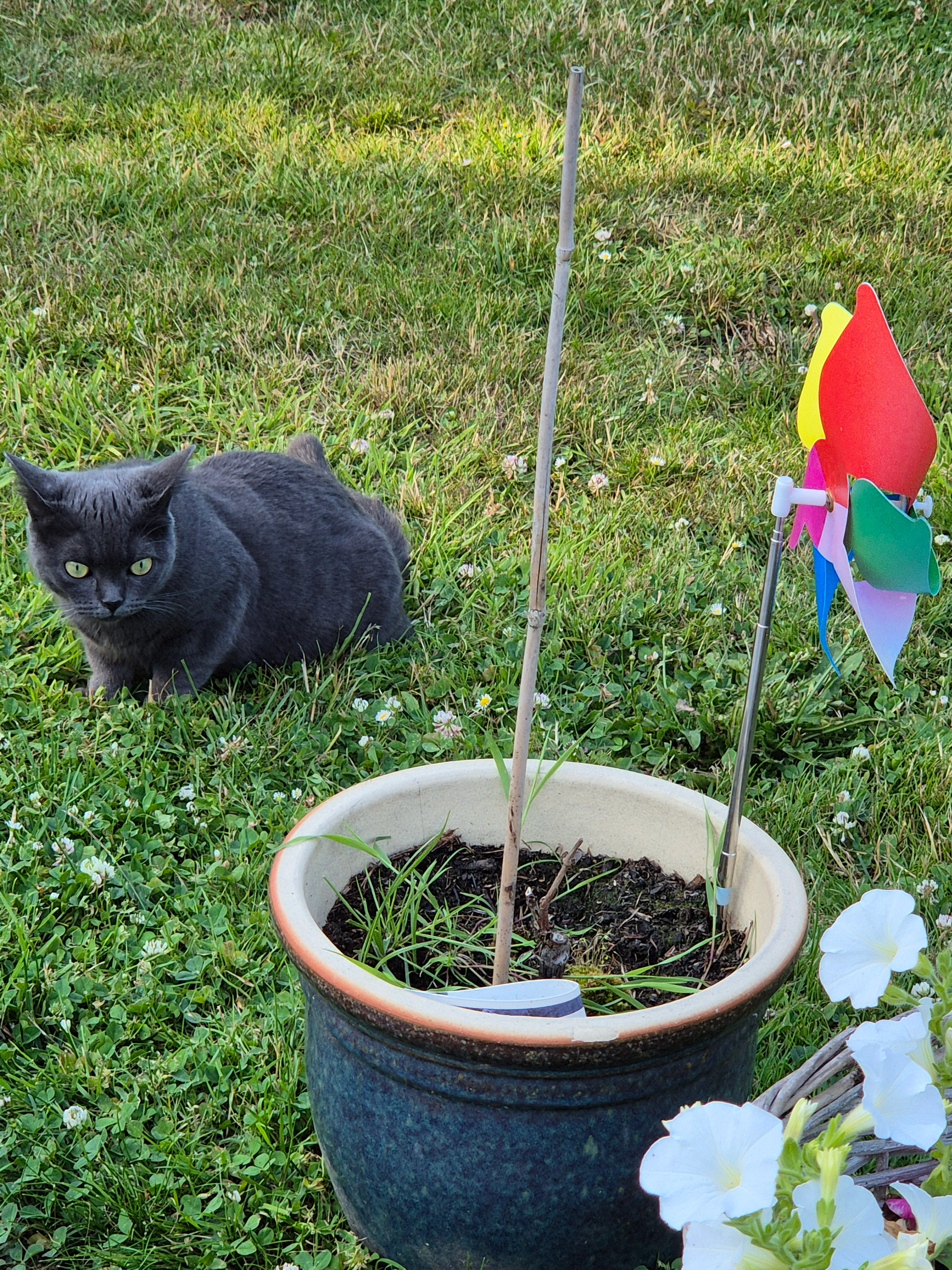 Nala - Rue du Village 34, La Bruyère