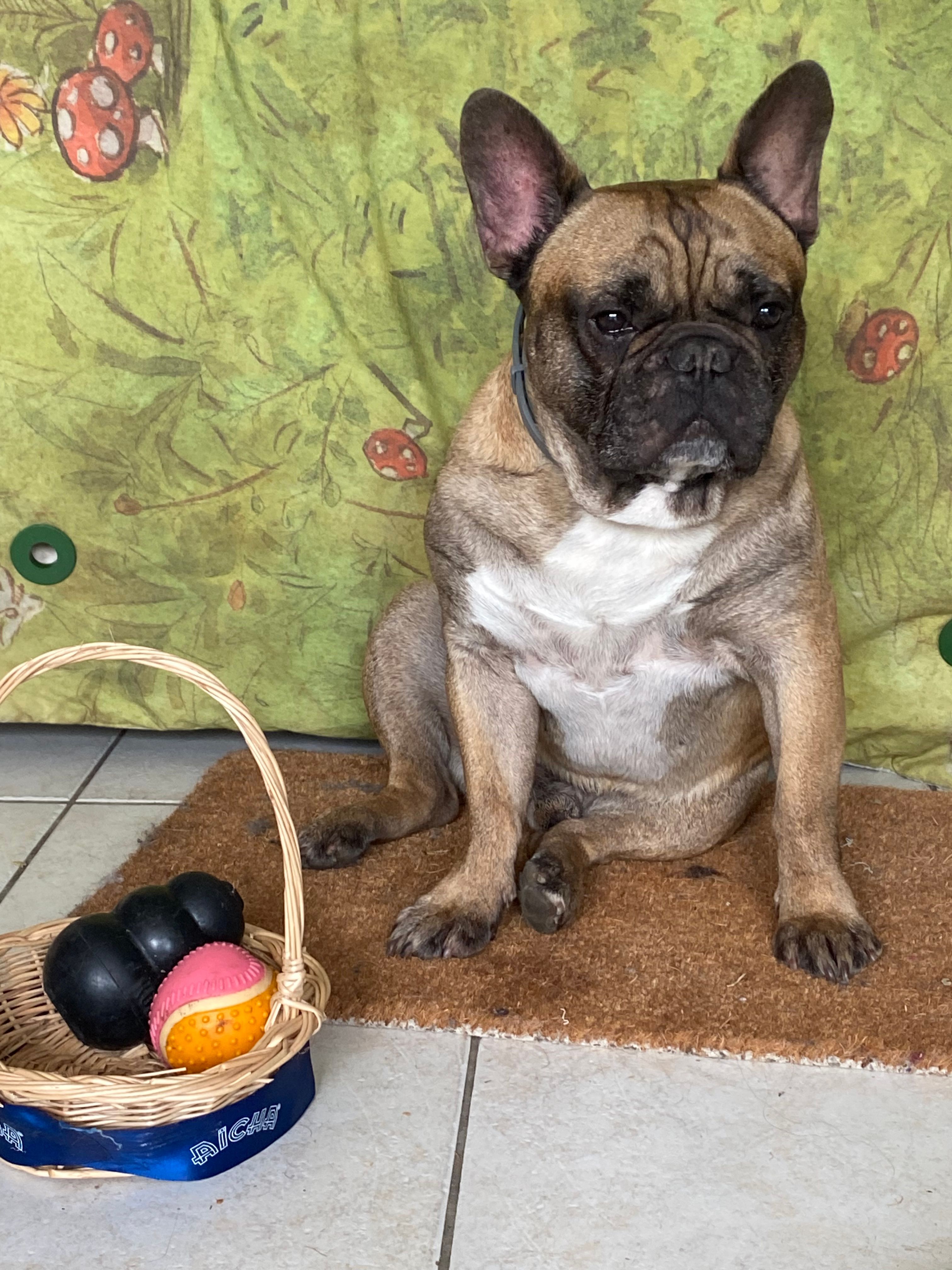 Oasis  - 5 Allée des Vinaigriers, Nantes