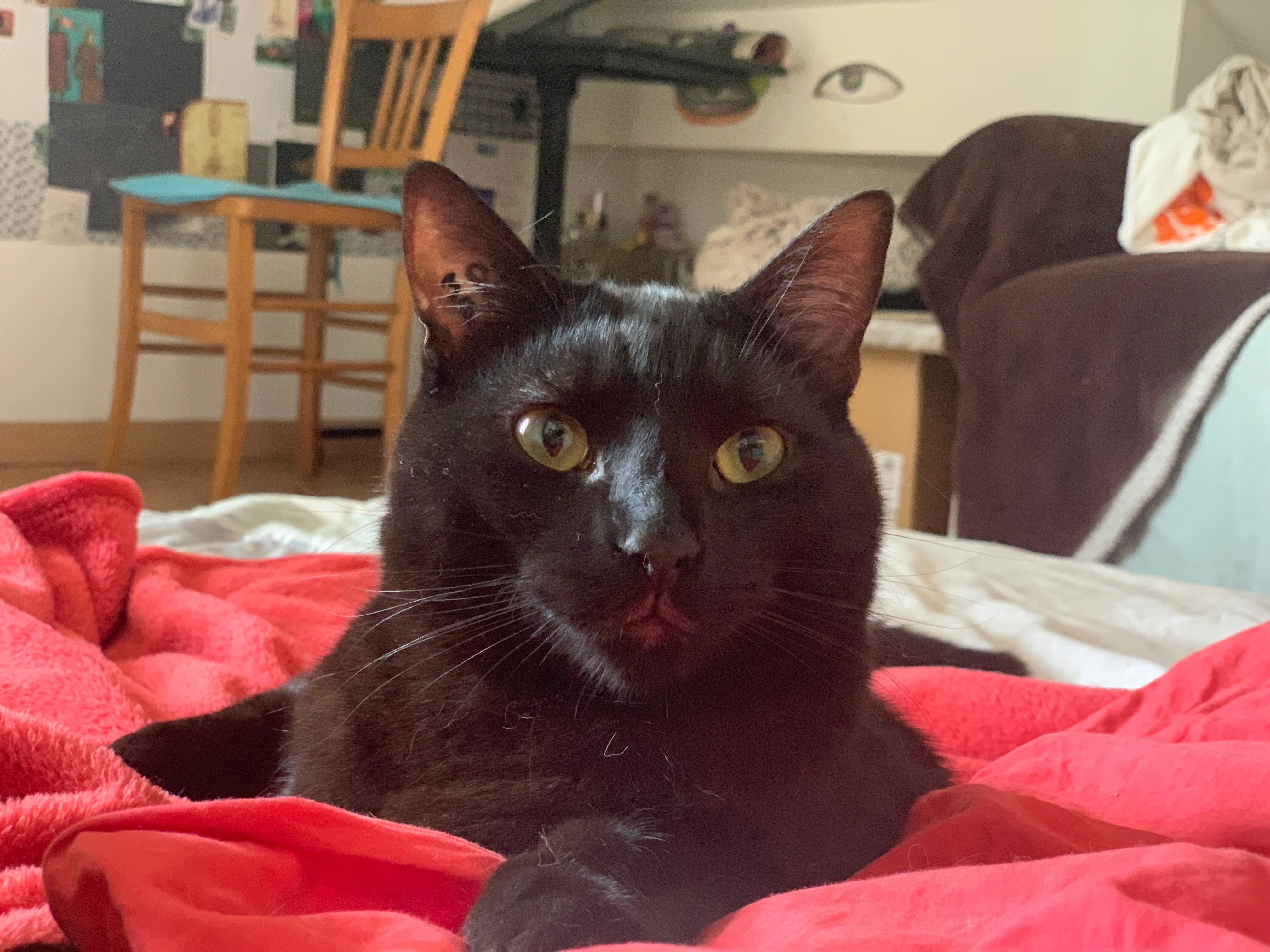 Didoum - Quai Jean Compagnon, Ivry-sur-Seine